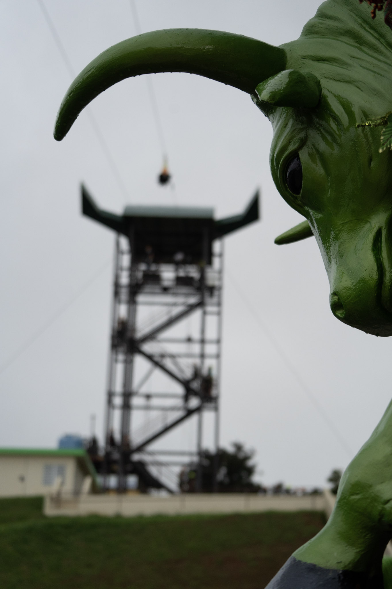 2020-12-28_Toro_Verde - foto 116