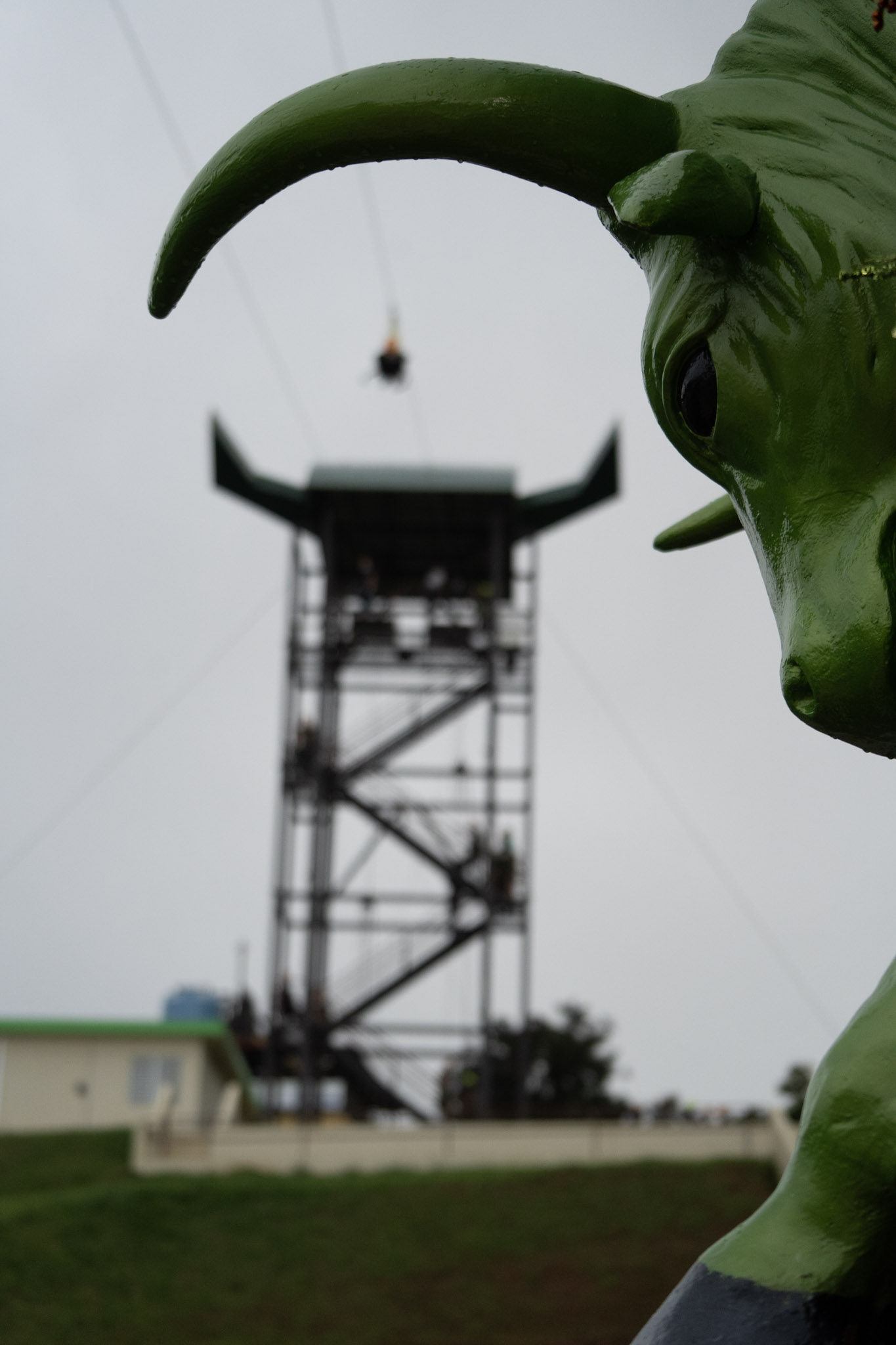 2020-12-28_Toro_Verde - foto 117