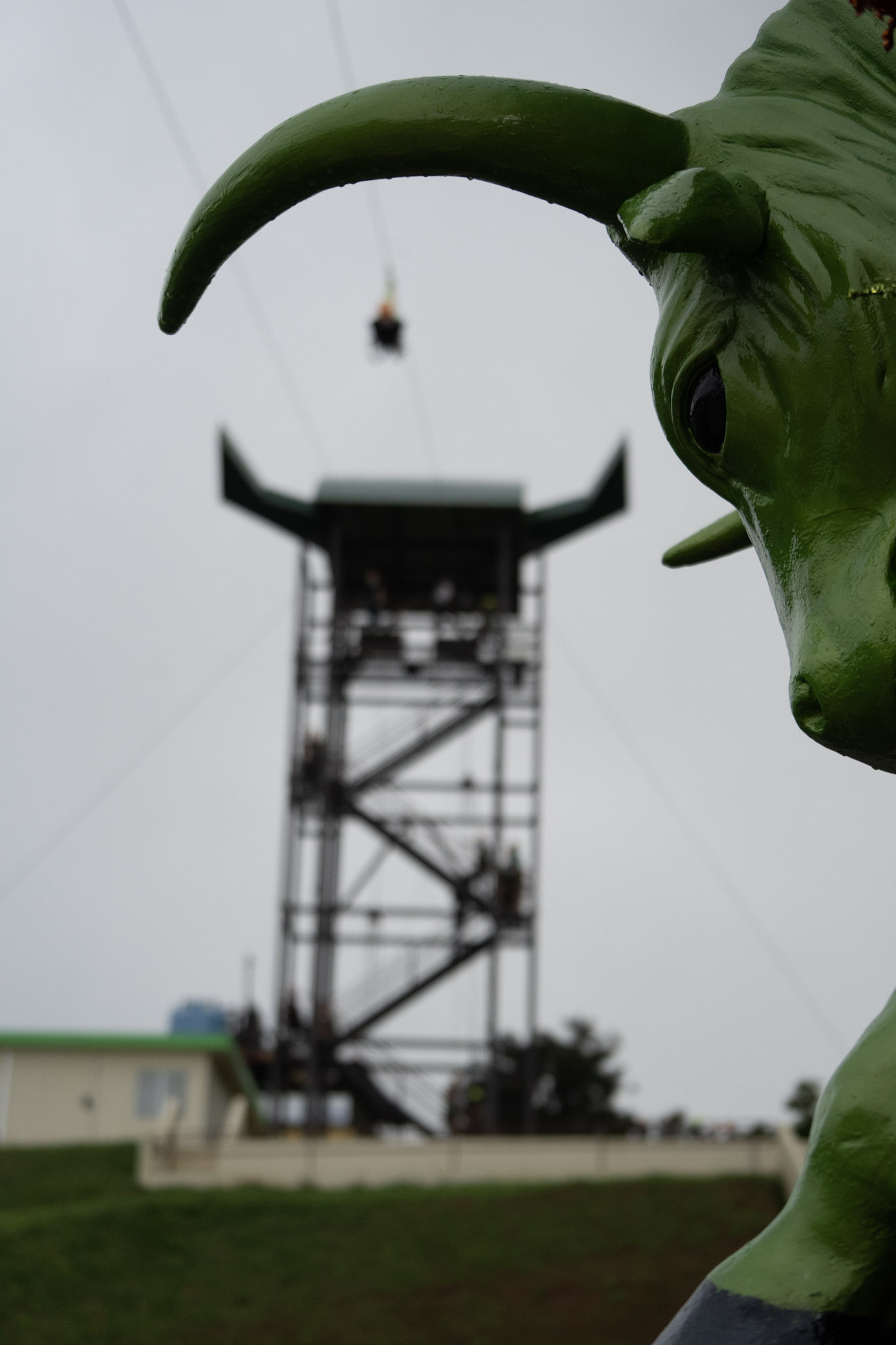 2020-12-28_Toro_Verde - foto 118