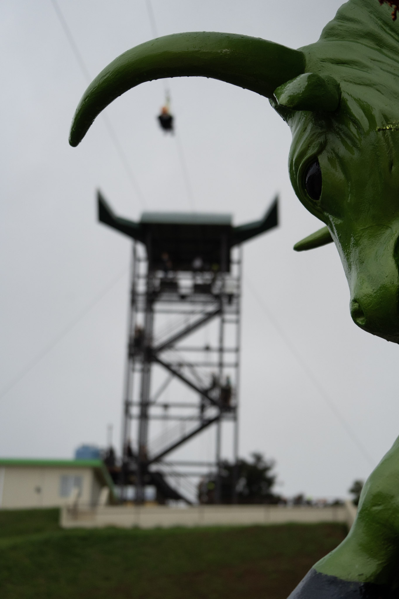 2020-12-28_Toro_Verde - foto 119