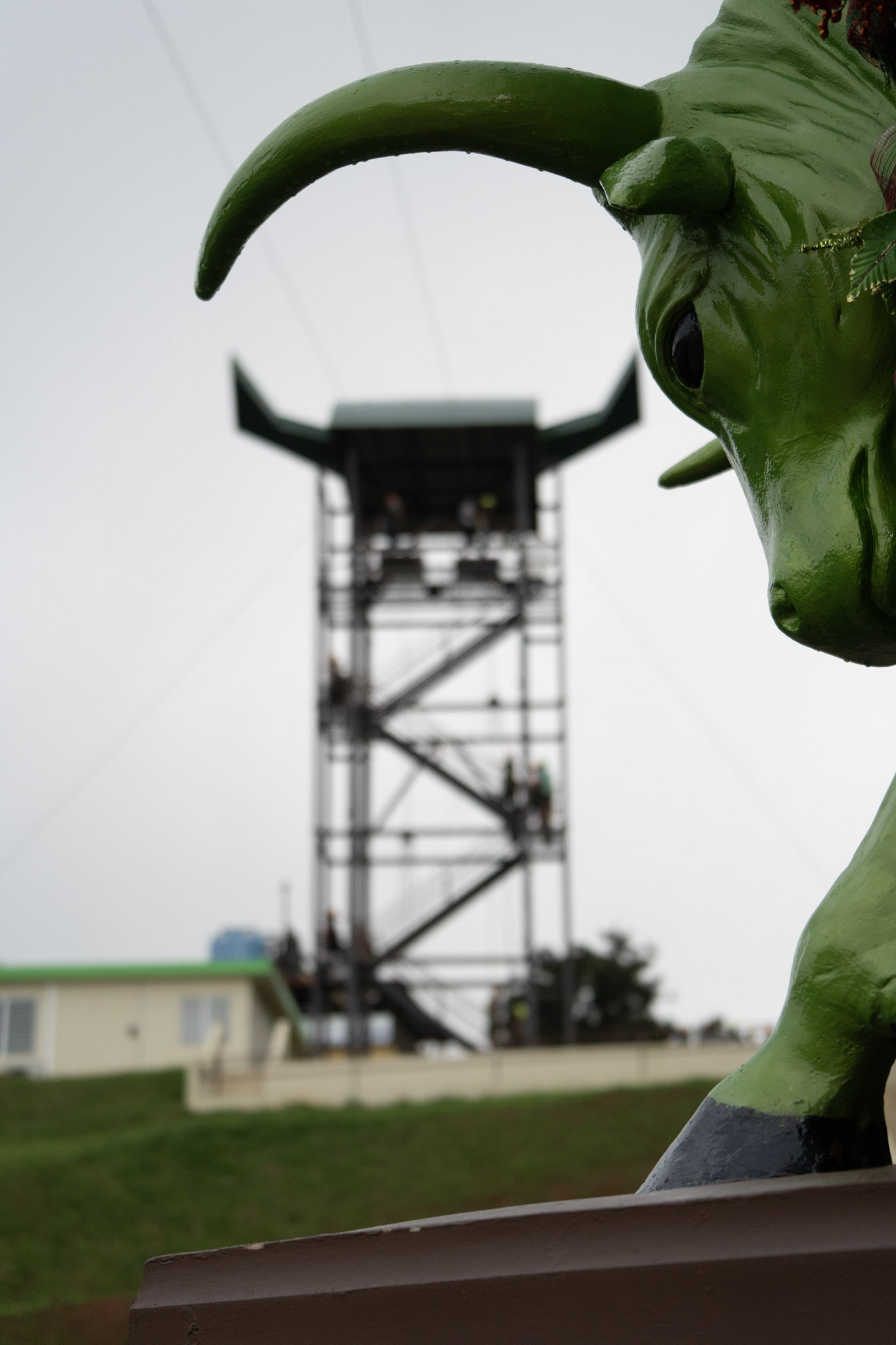 2020-12-28_Toro_Verde - foto 120