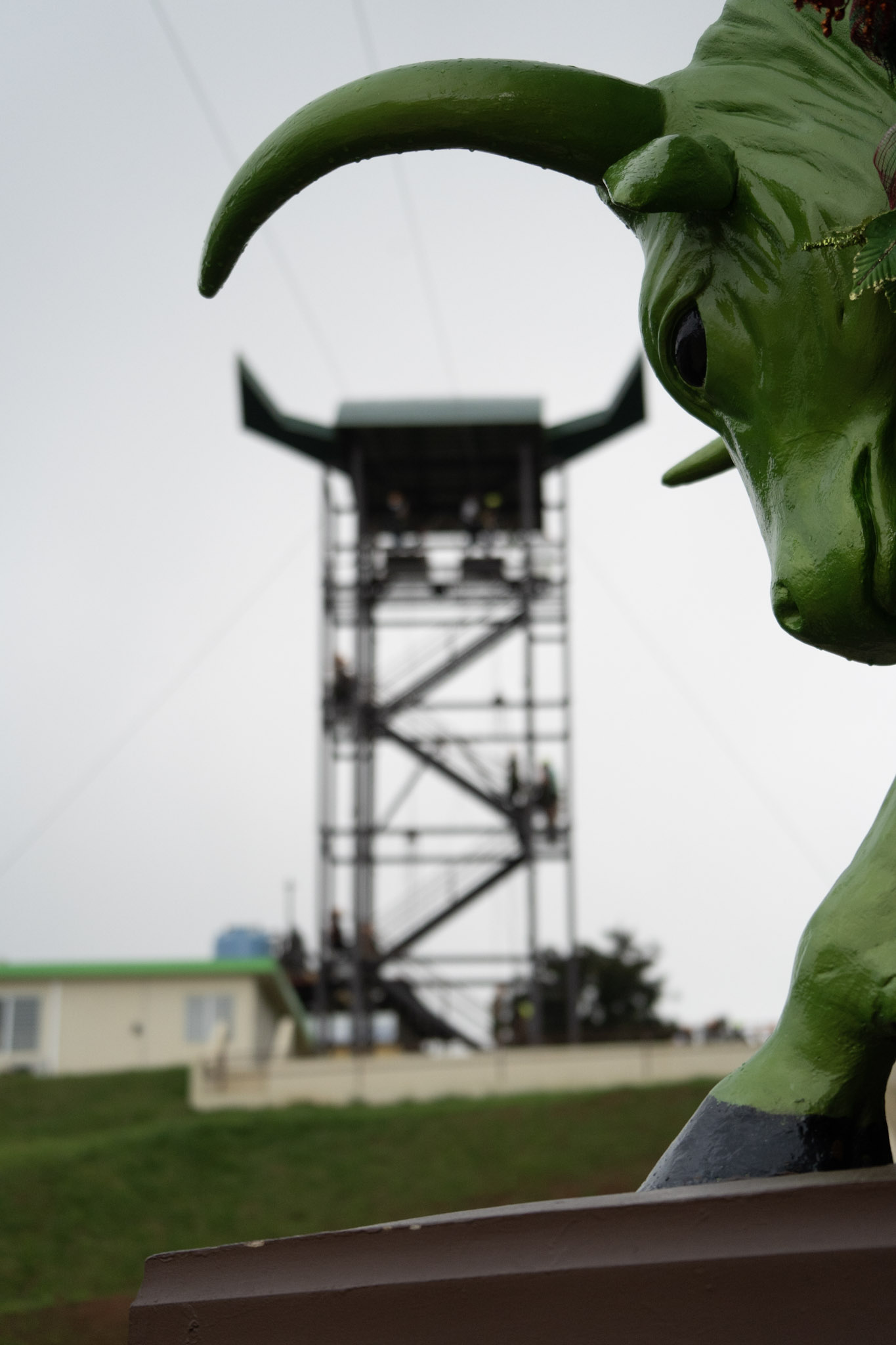 2020-12-28_Toro_Verde - foto 121