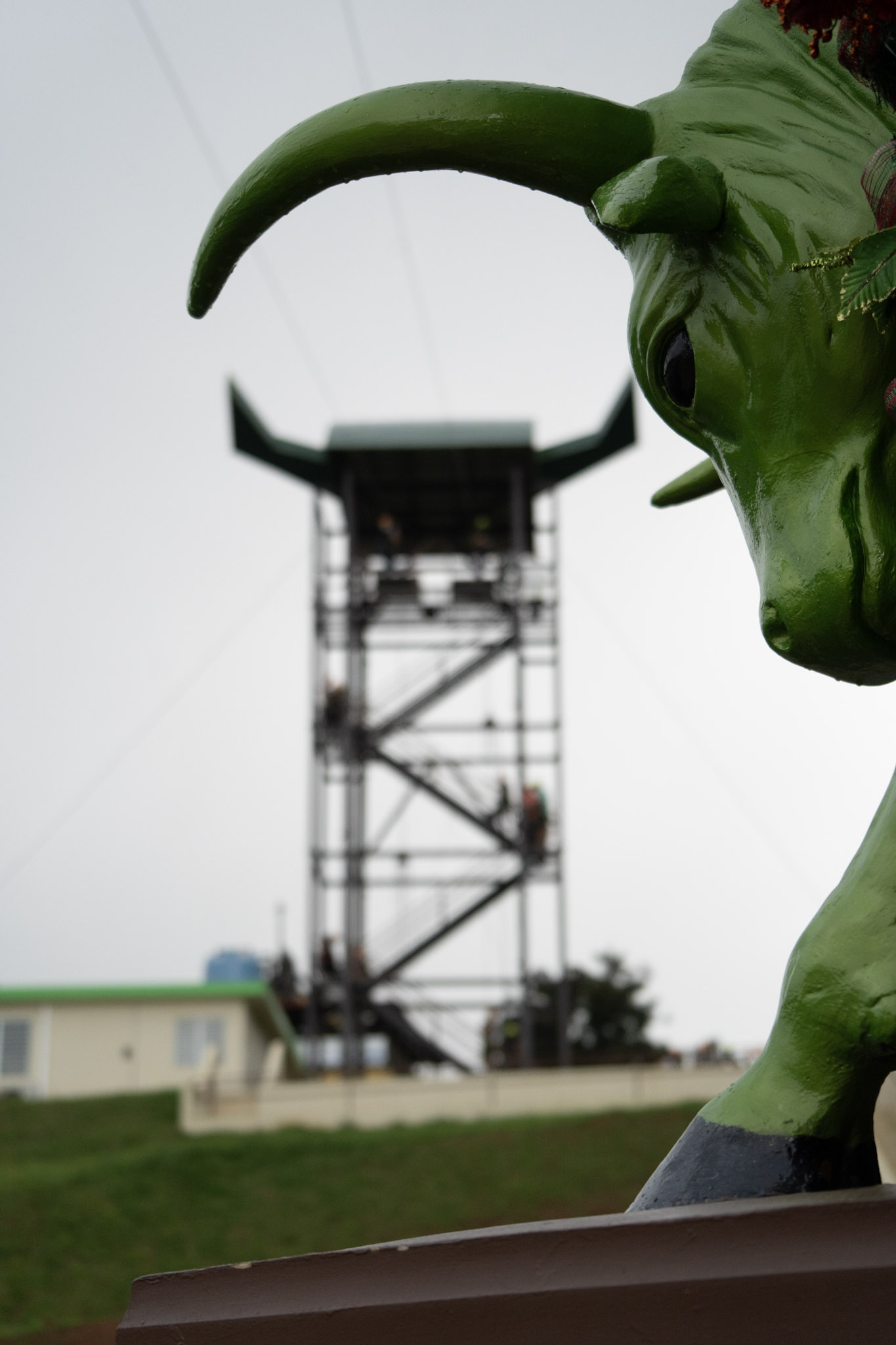 2020-12-28_Toro_Verde - foto 122