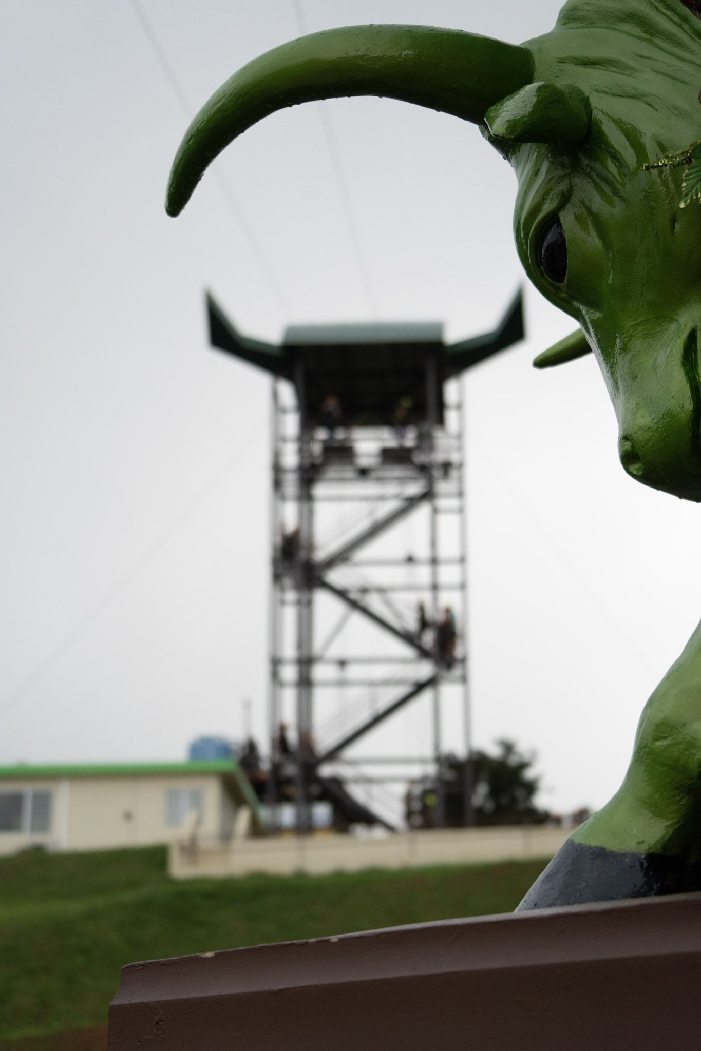 2020-12-28_Toro_Verde - foto 123