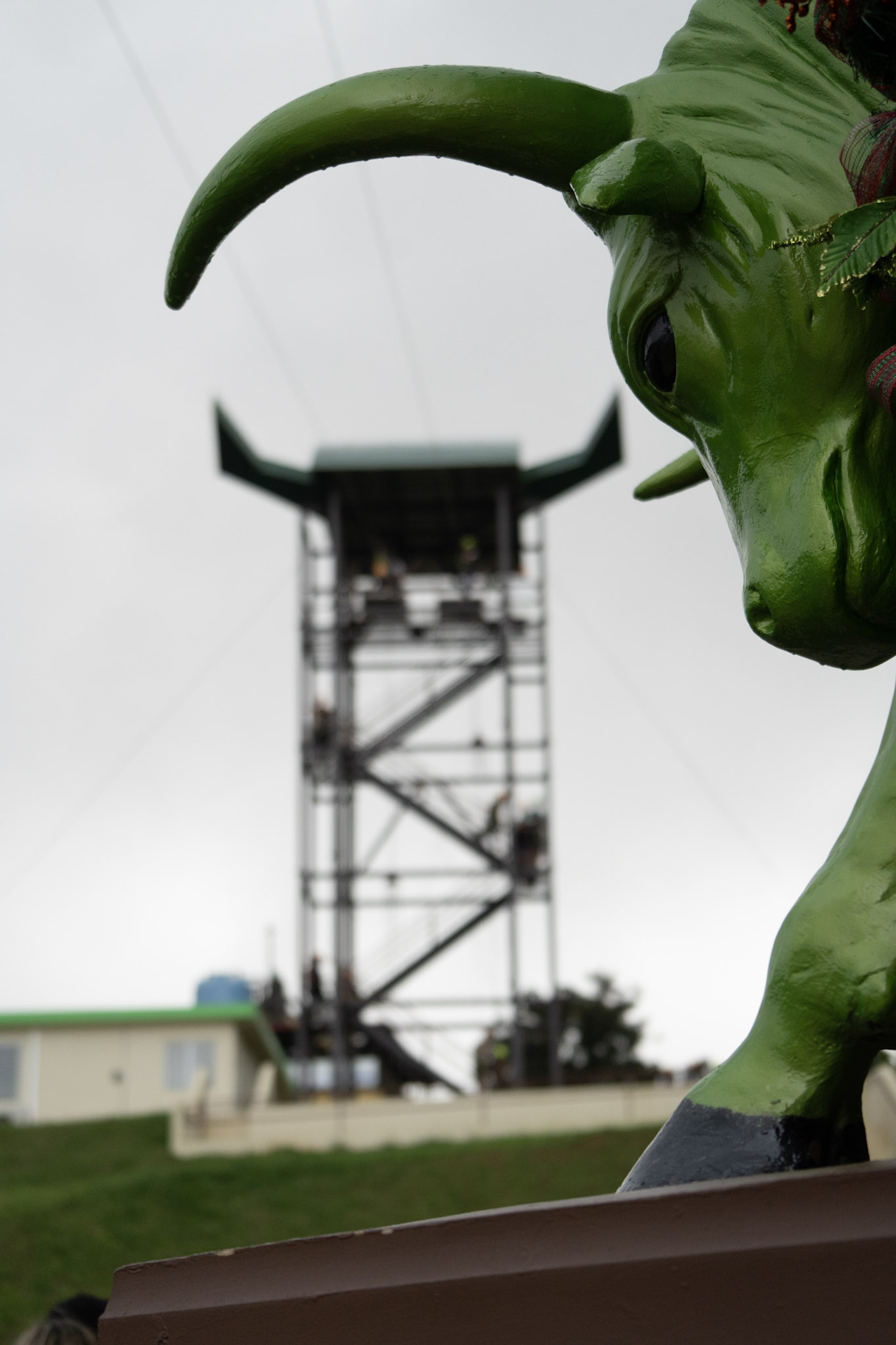 2020-12-28_Toro_Verde - foto 125