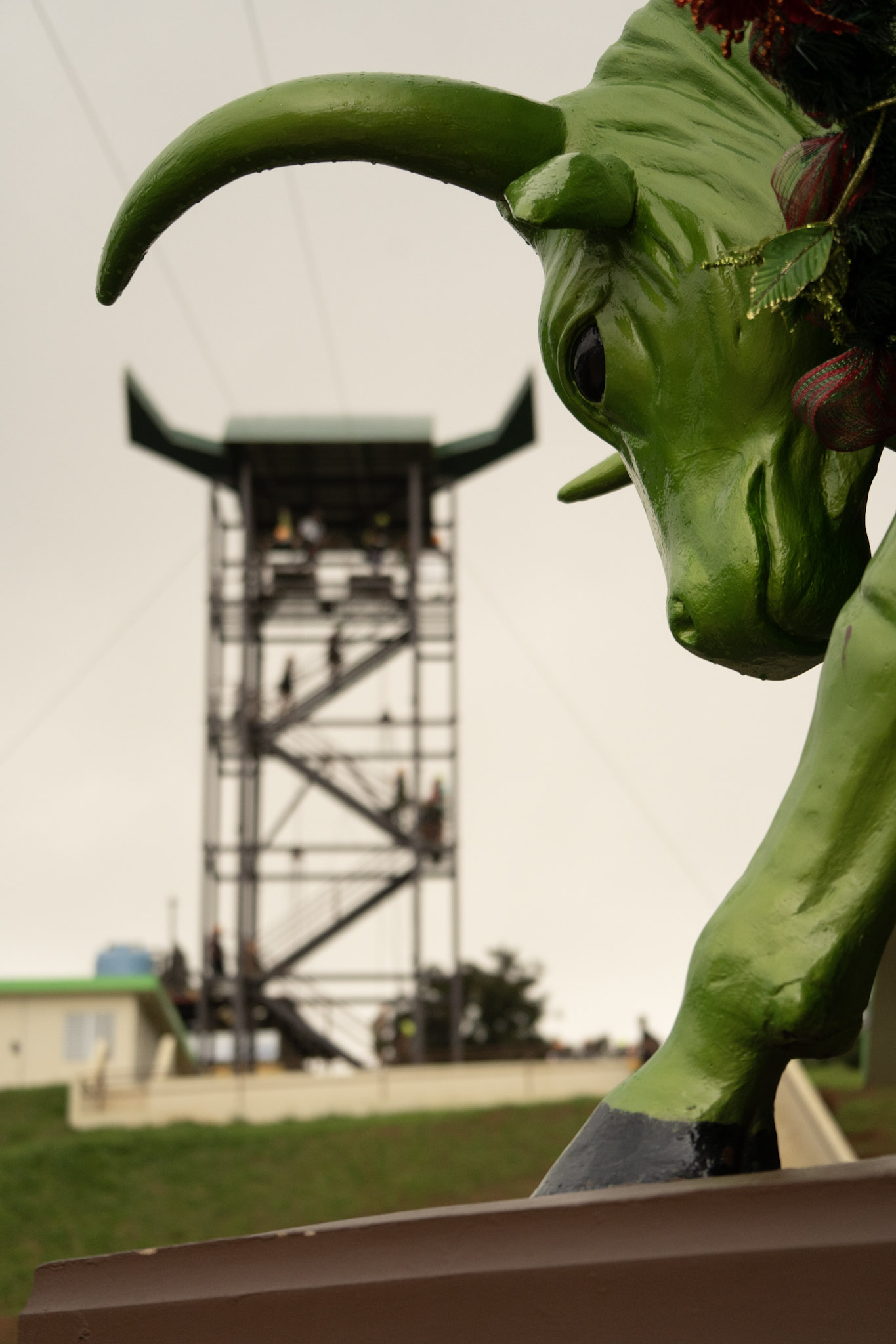 2020-12-28_Toro_Verde - foto 126