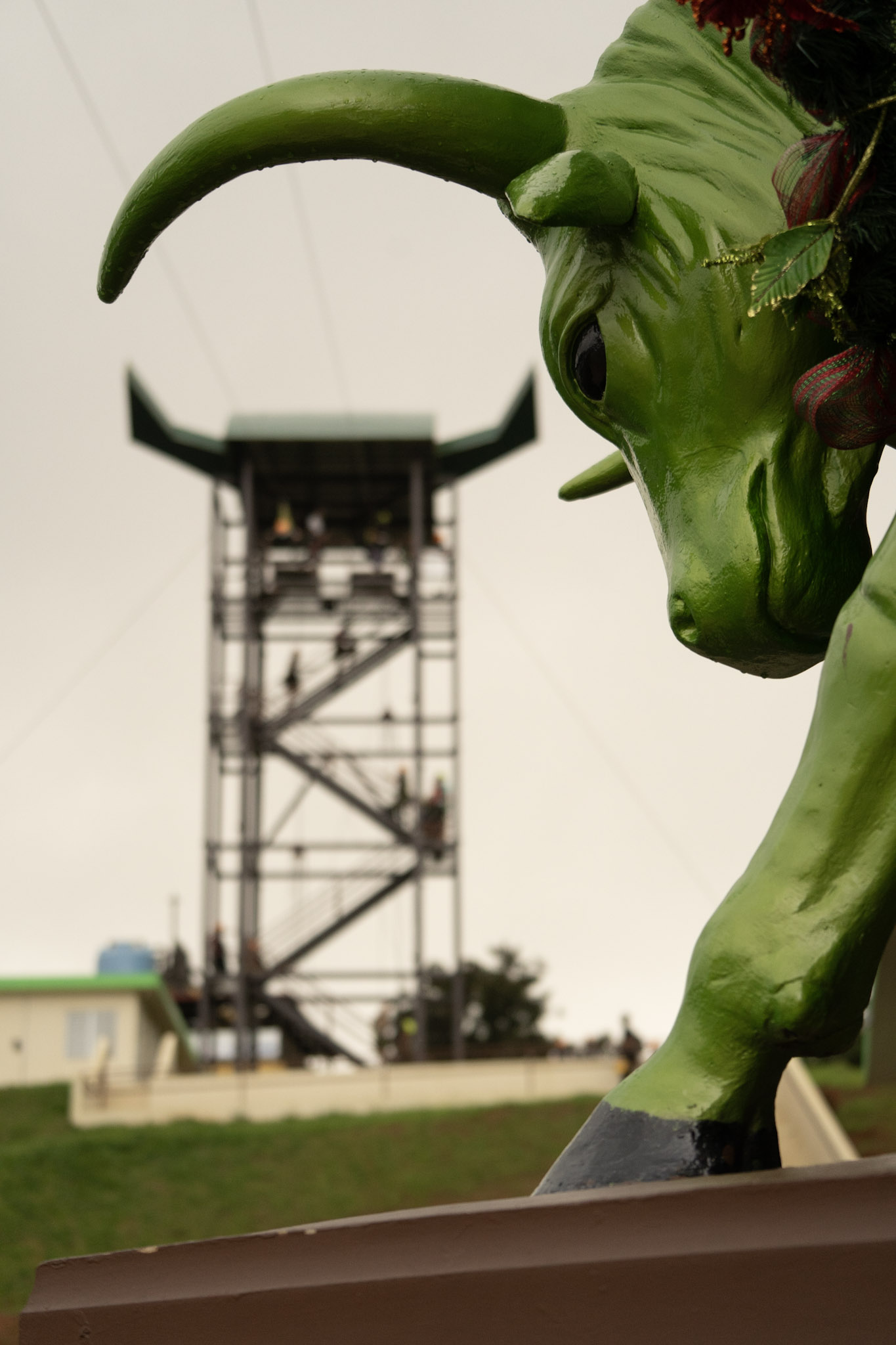 2020-12-28_Toro_Verde - foto 127