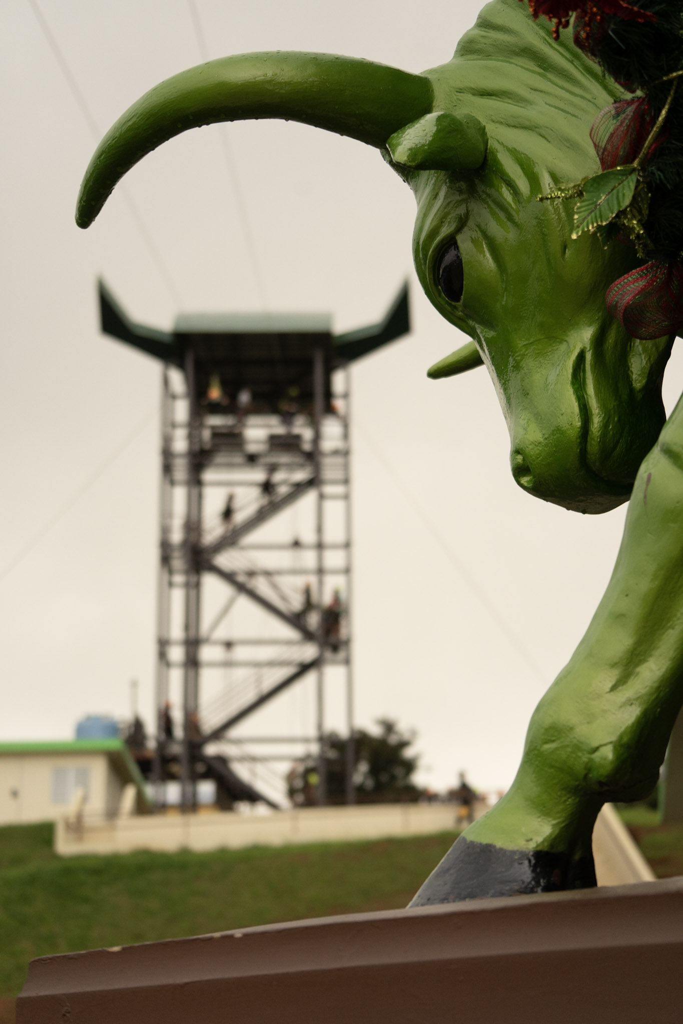 2020-12-28_Toro_Verde - foto 128