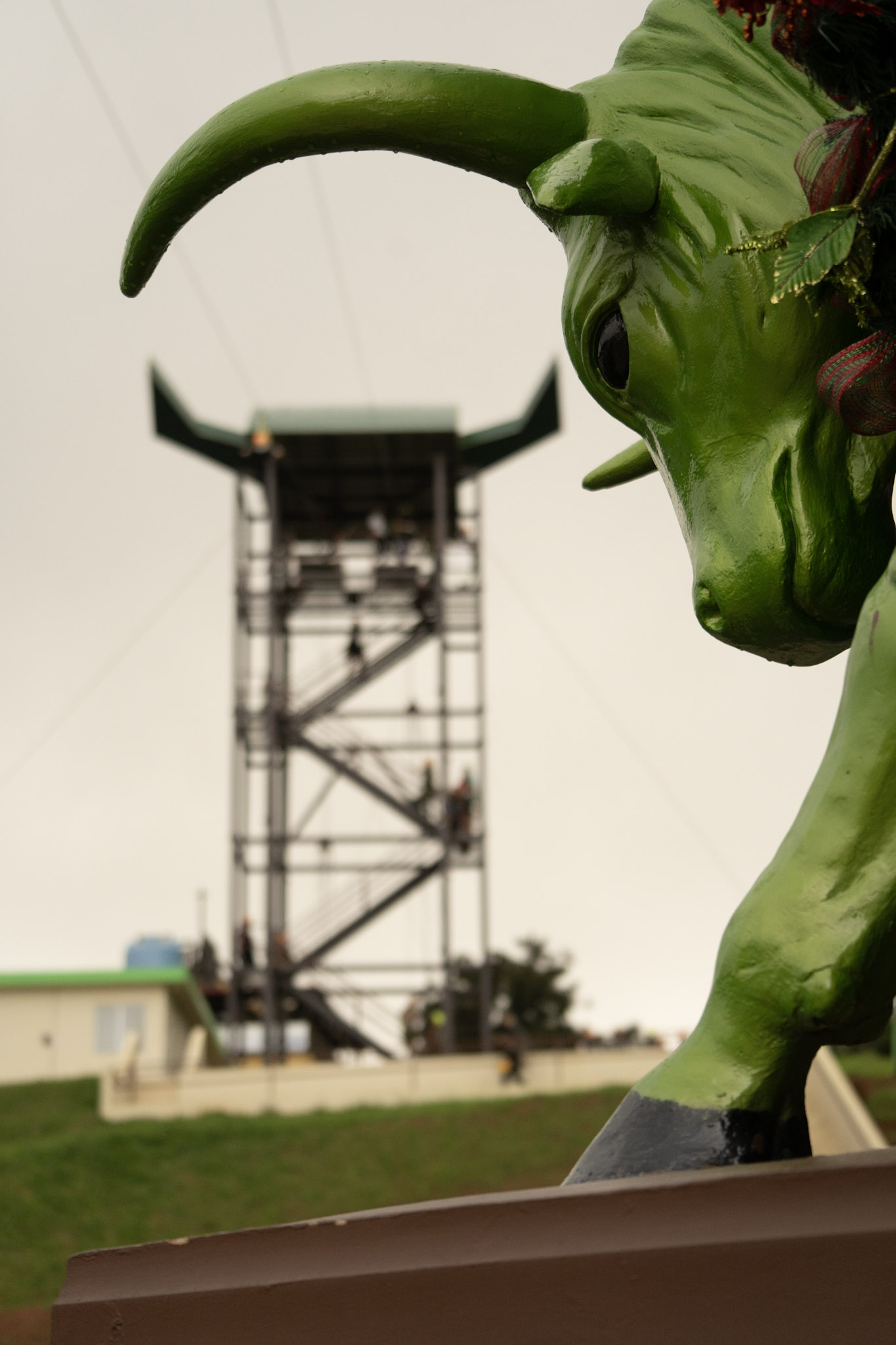 2020-12-28_Toro_Verde - foto 129