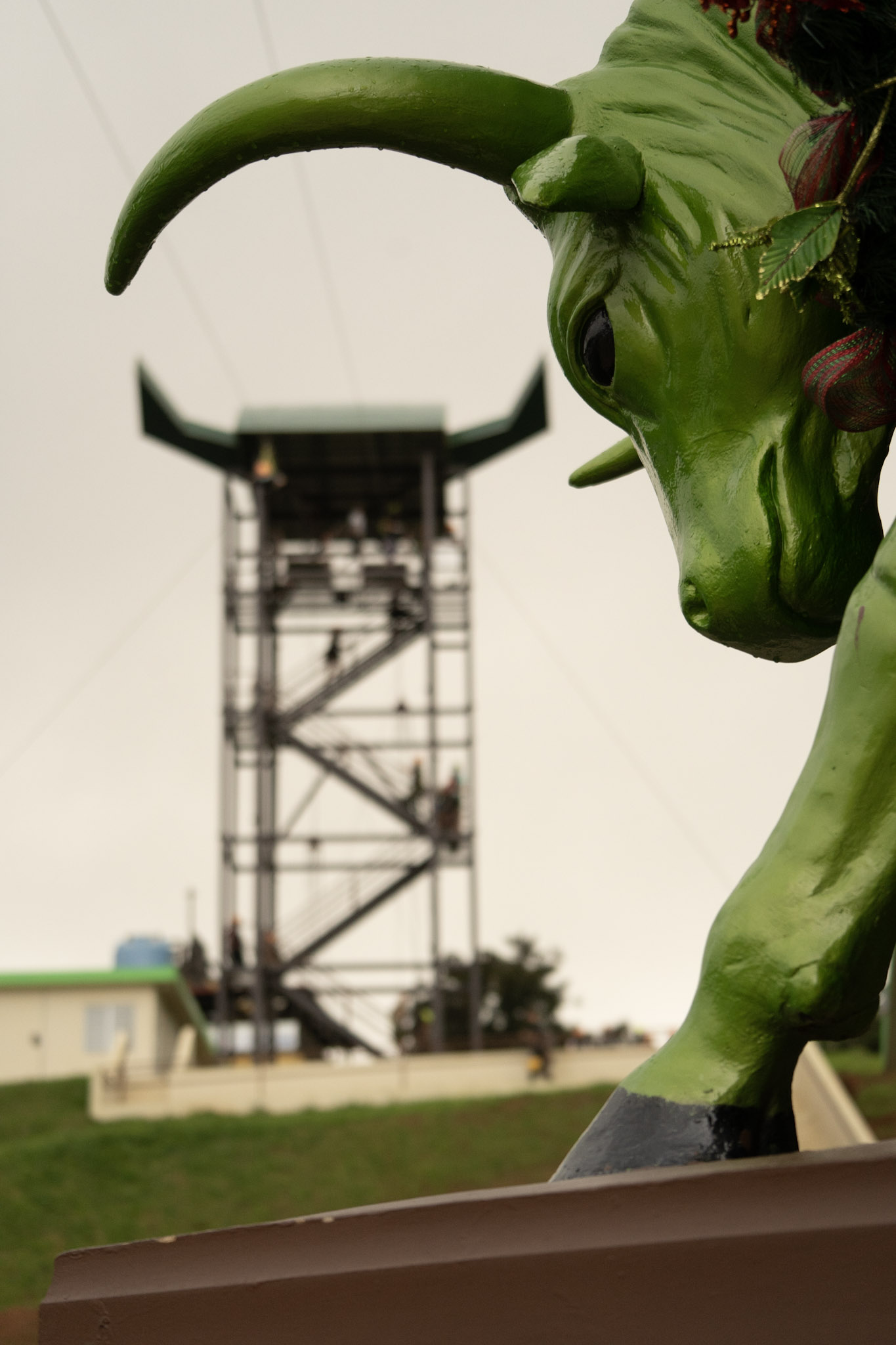 2020-12-28_Toro_Verde - foto 130