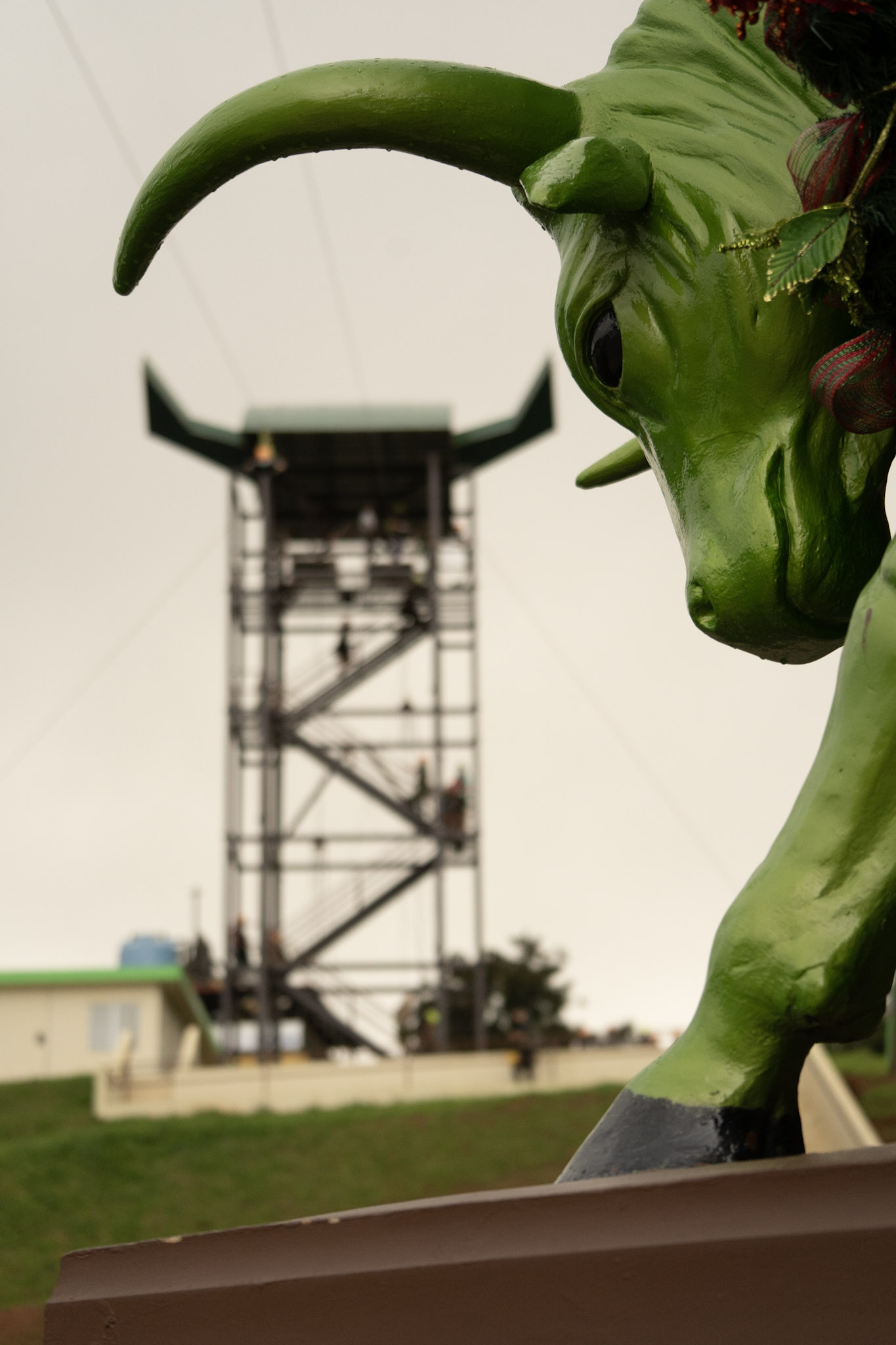 2020-12-28_Toro_Verde - foto 131