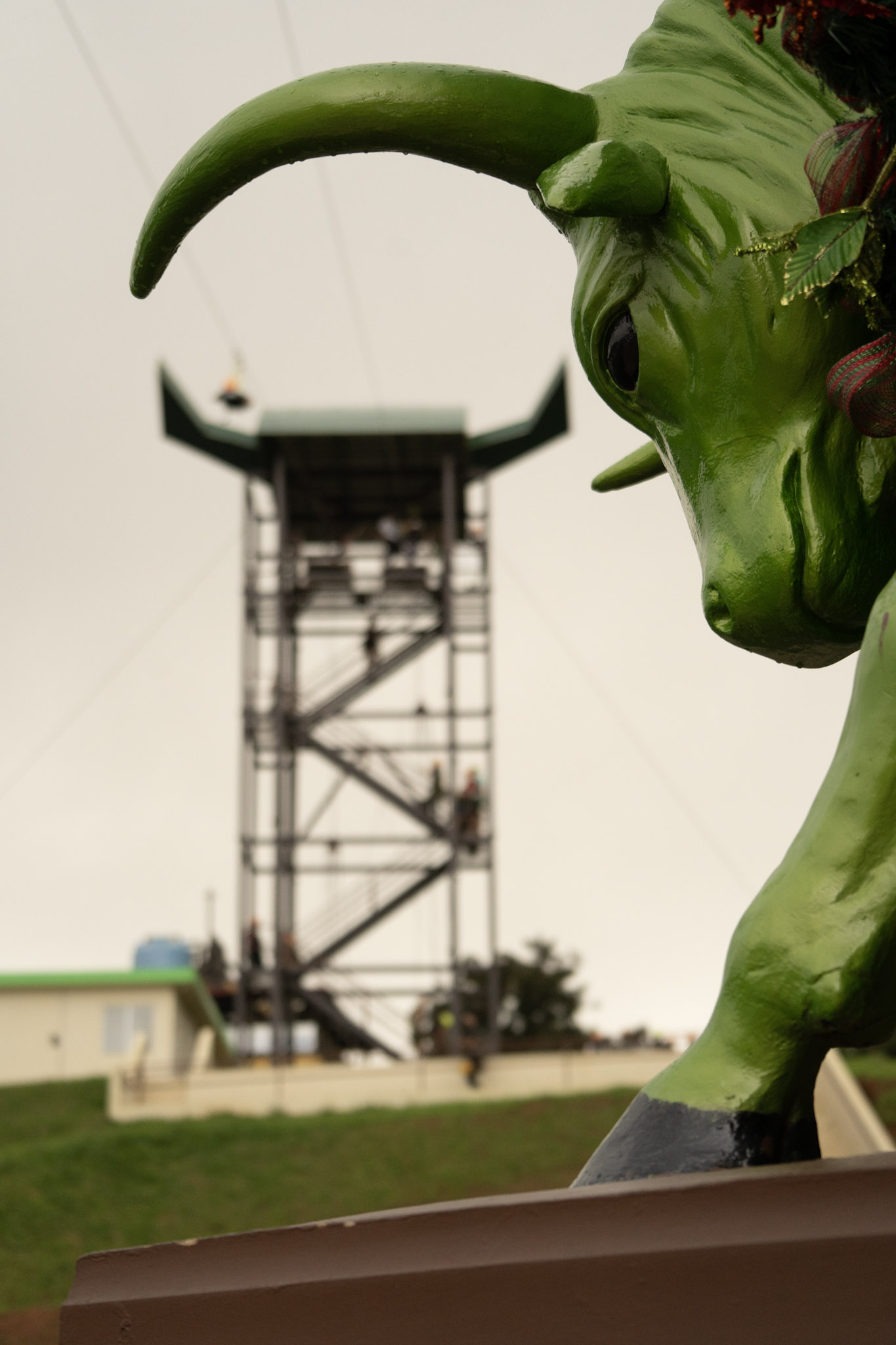 2020-12-28_Toro_Verde - foto 134