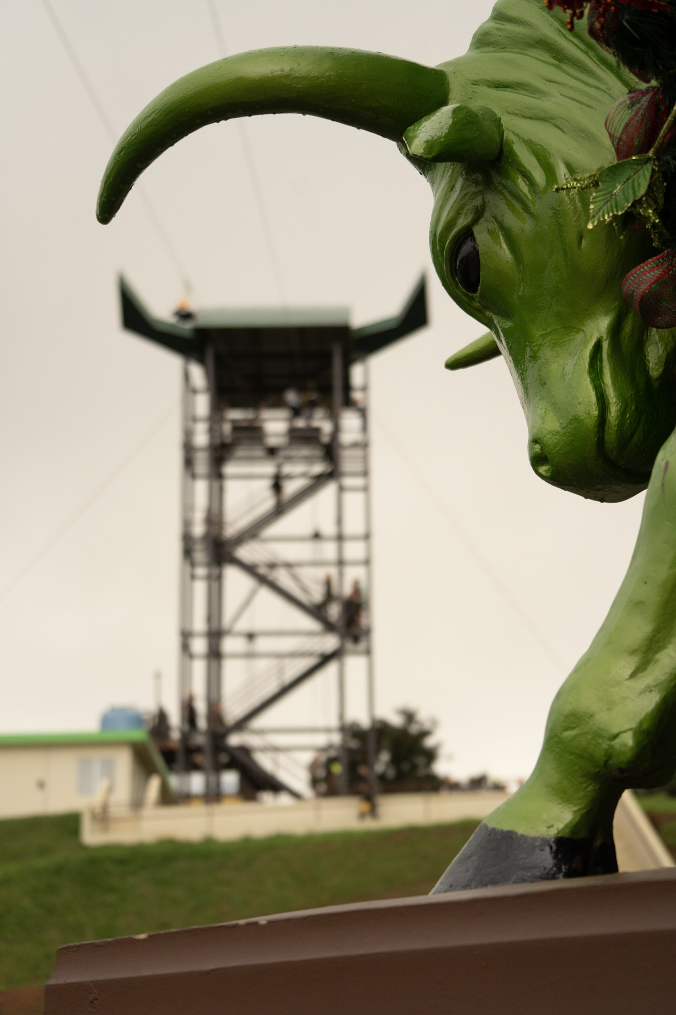 2020-12-28_Toro_Verde - foto 135