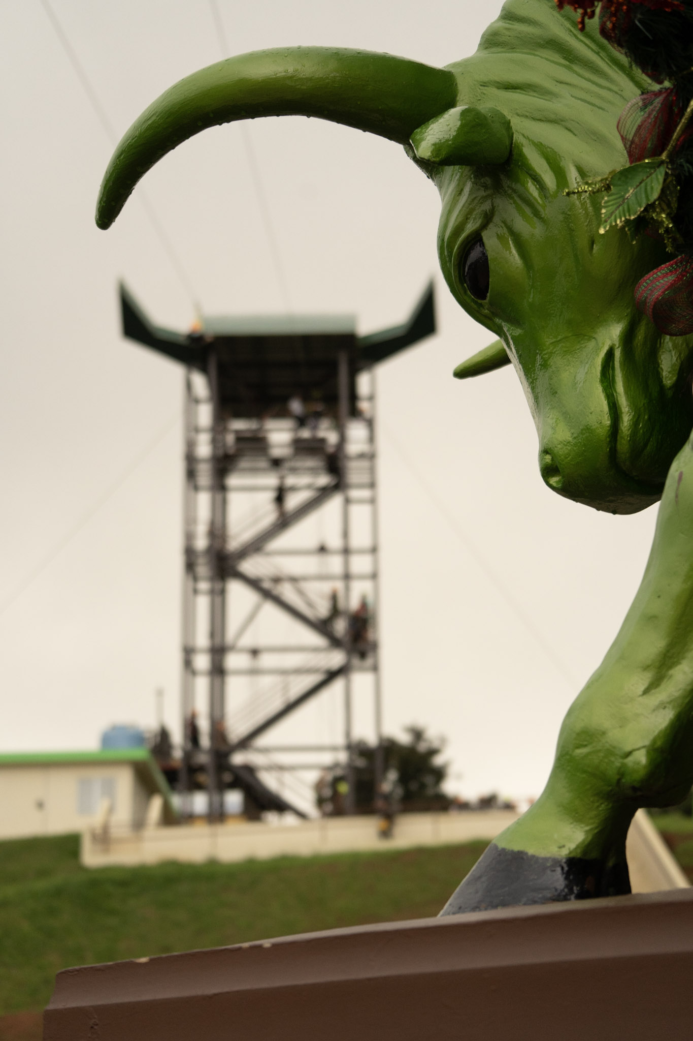 2020-12-28_Toro_Verde - foto 136