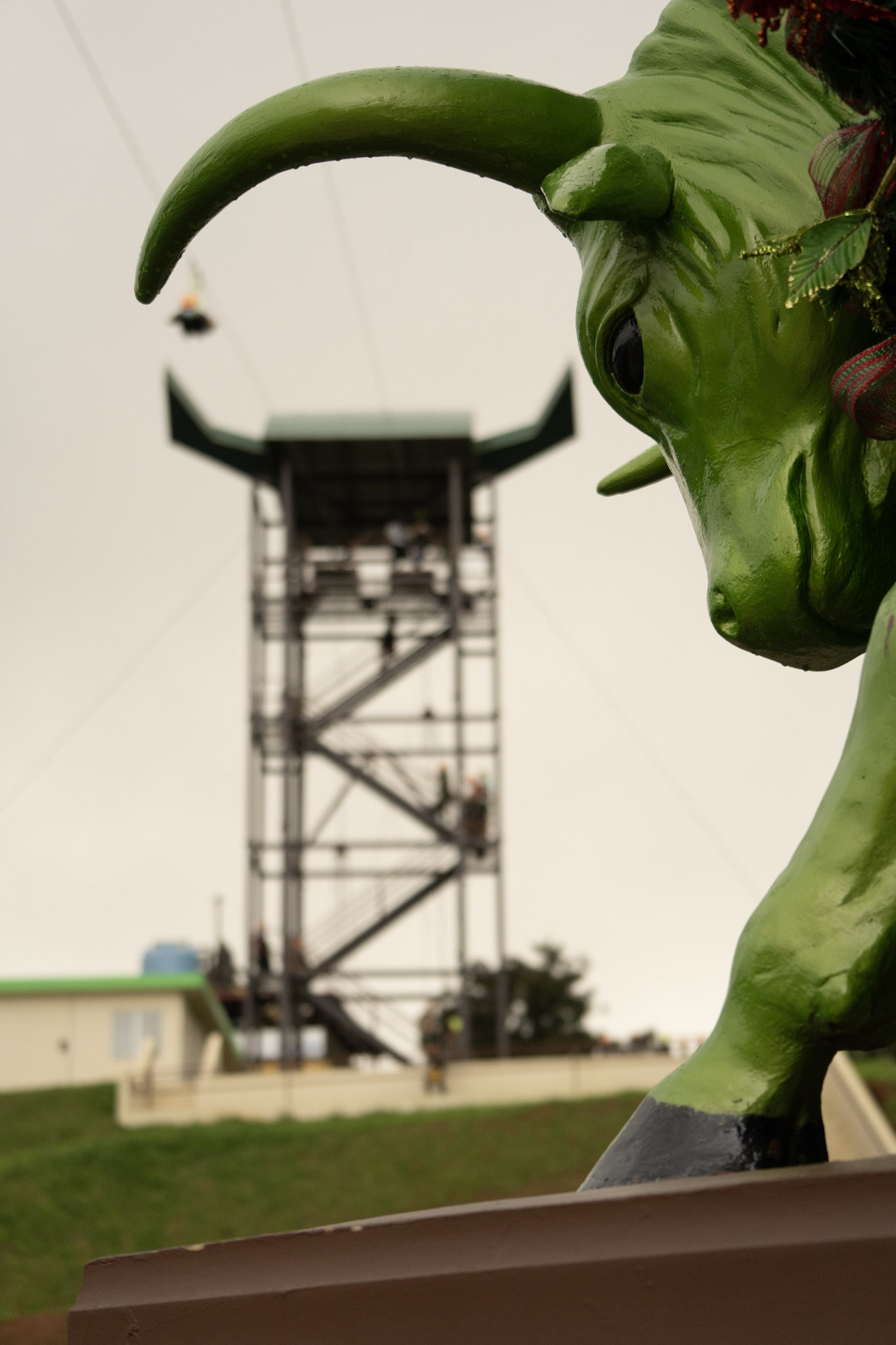 2020-12-28_Toro_Verde - foto 138