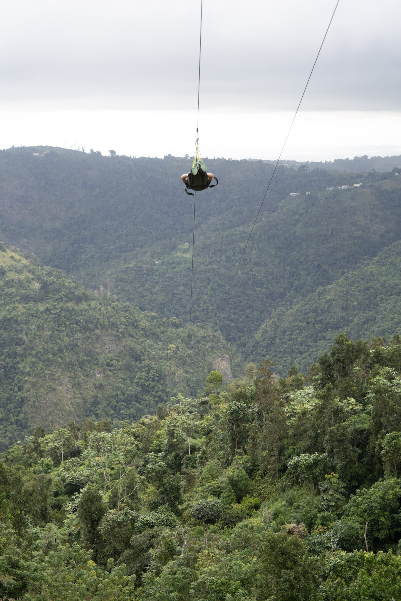 2020-12-28_Toro_Verde - foto 139