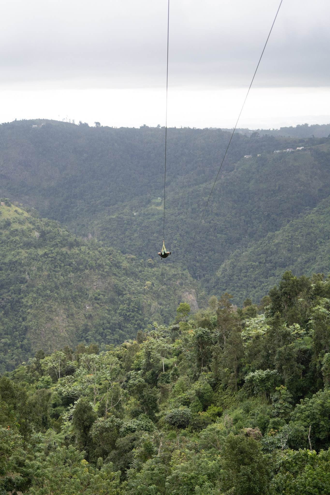 2020-12-28_Toro_Verde - foto 142