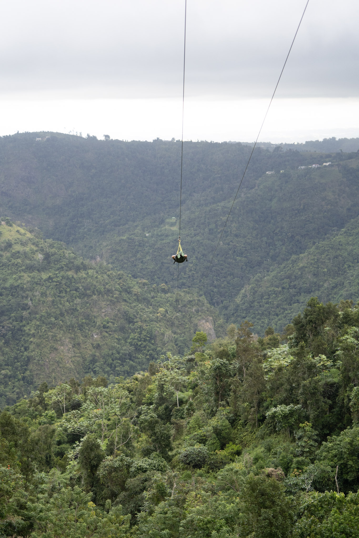 2020-12-28_Toro_Verde - foto 143