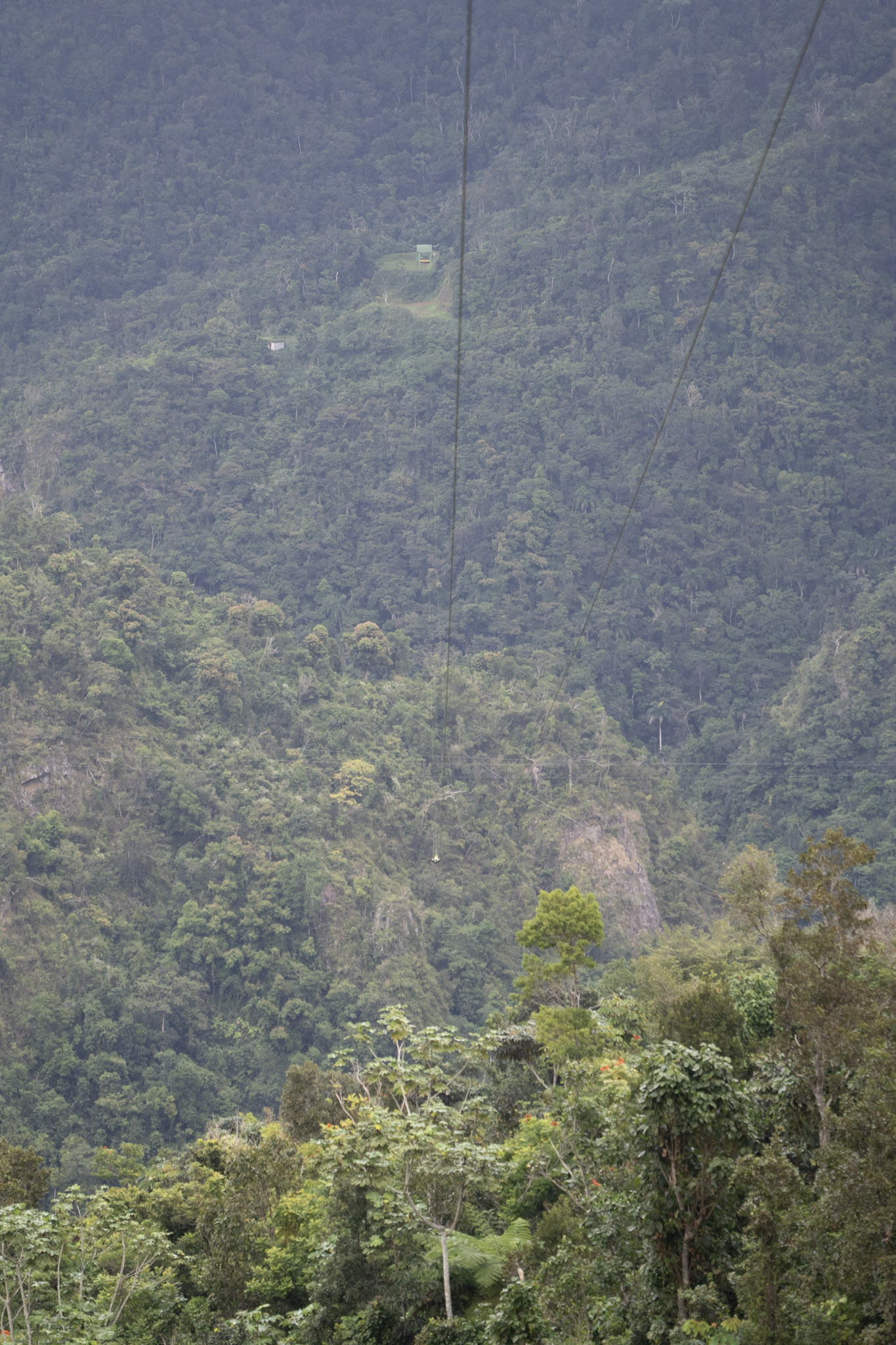 2020-12-28_Toro_Verde - foto 145