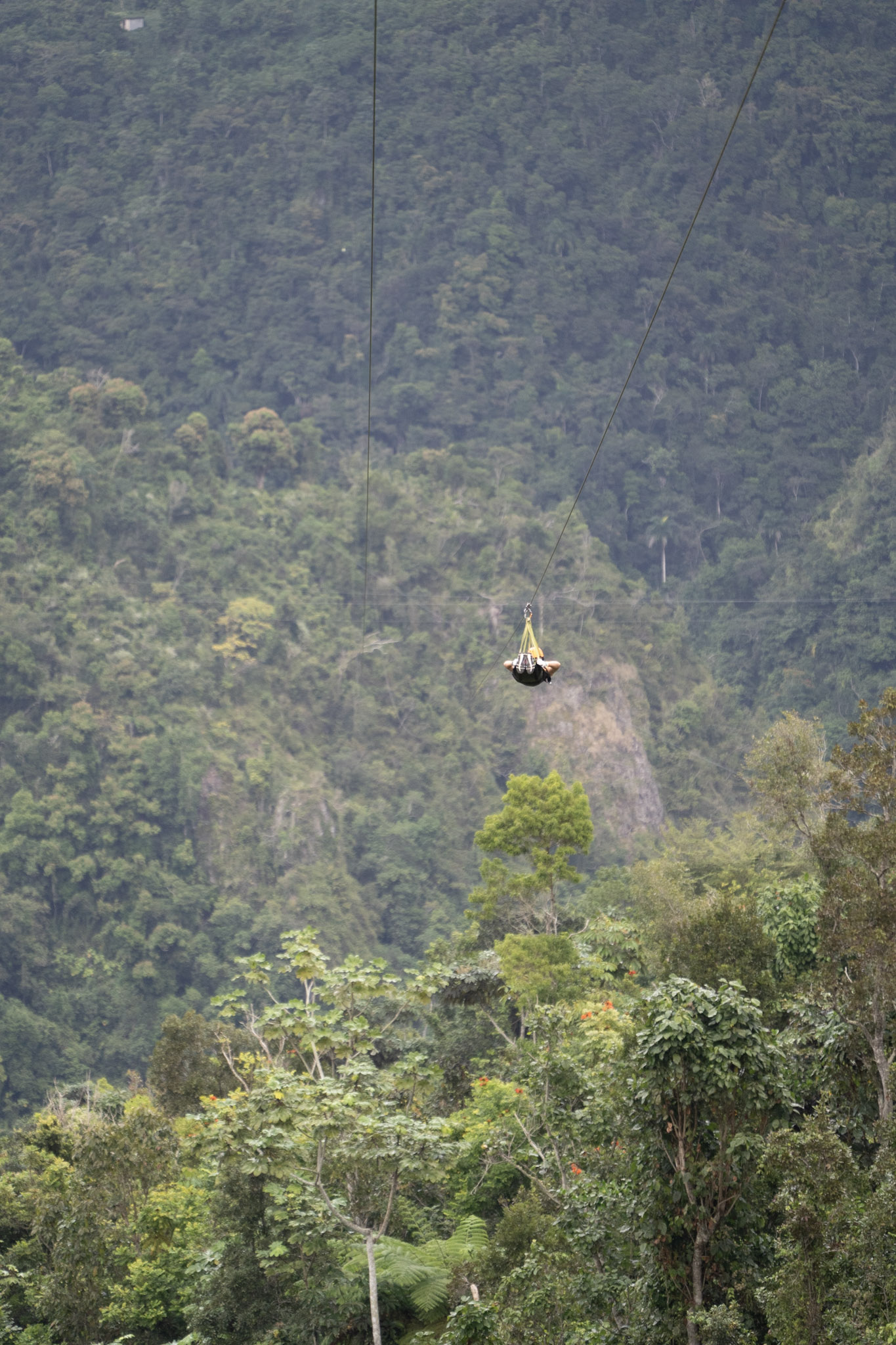 2020-12-28_Toro_Verde - foto 147