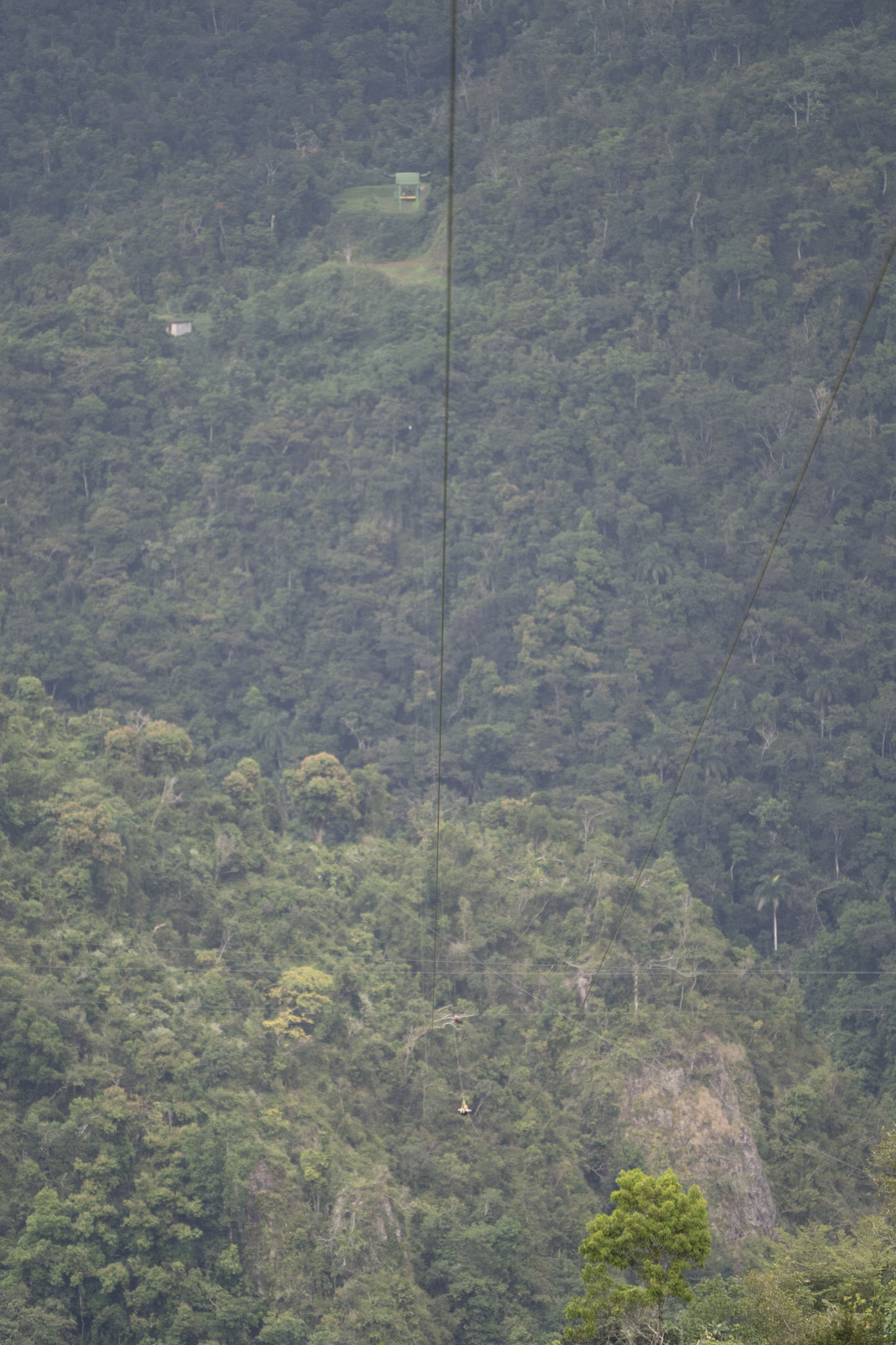 2020-12-28_Toro_Verde - foto 150