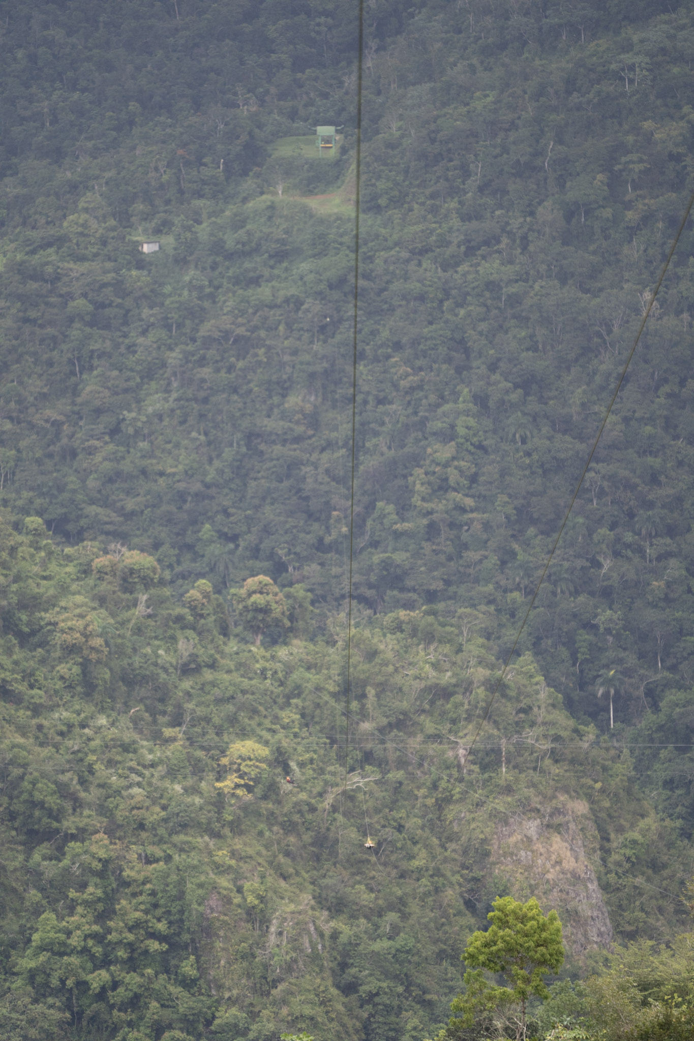 2020-12-28_Toro_Verde - foto 151