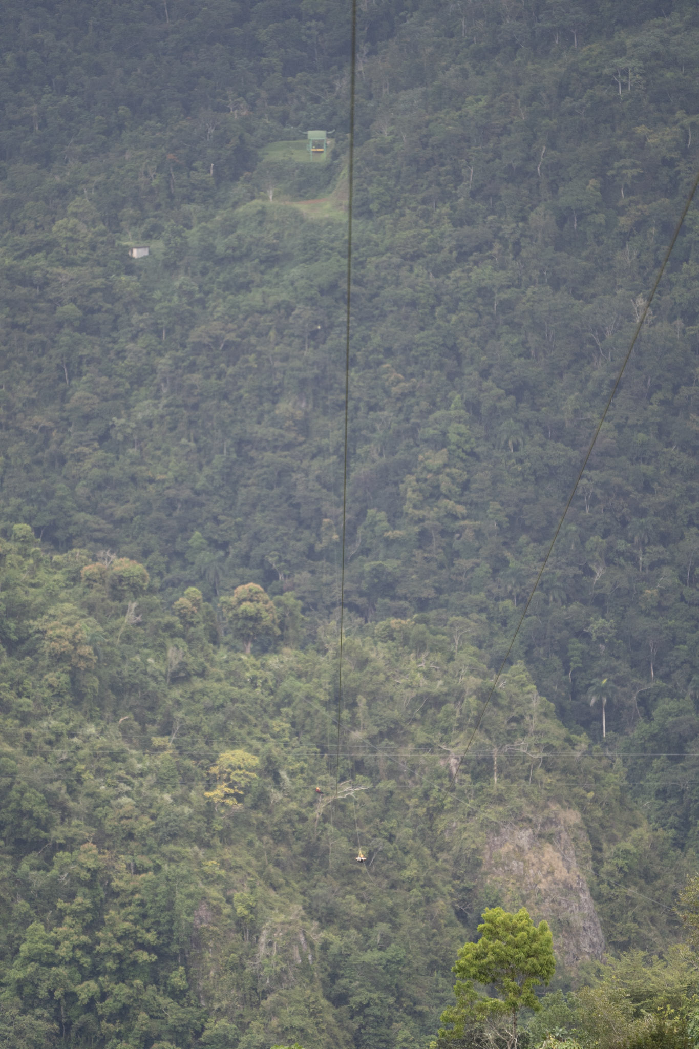 2020-12-28_Toro_Verde - foto 152