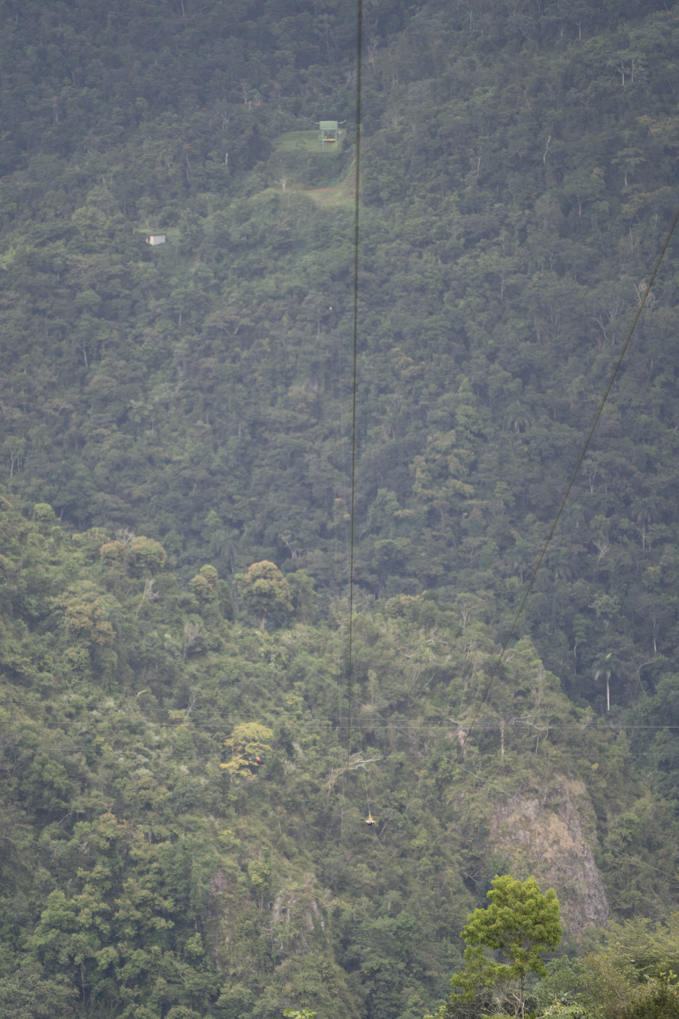 2020-12-28_Toro_Verde - foto 153