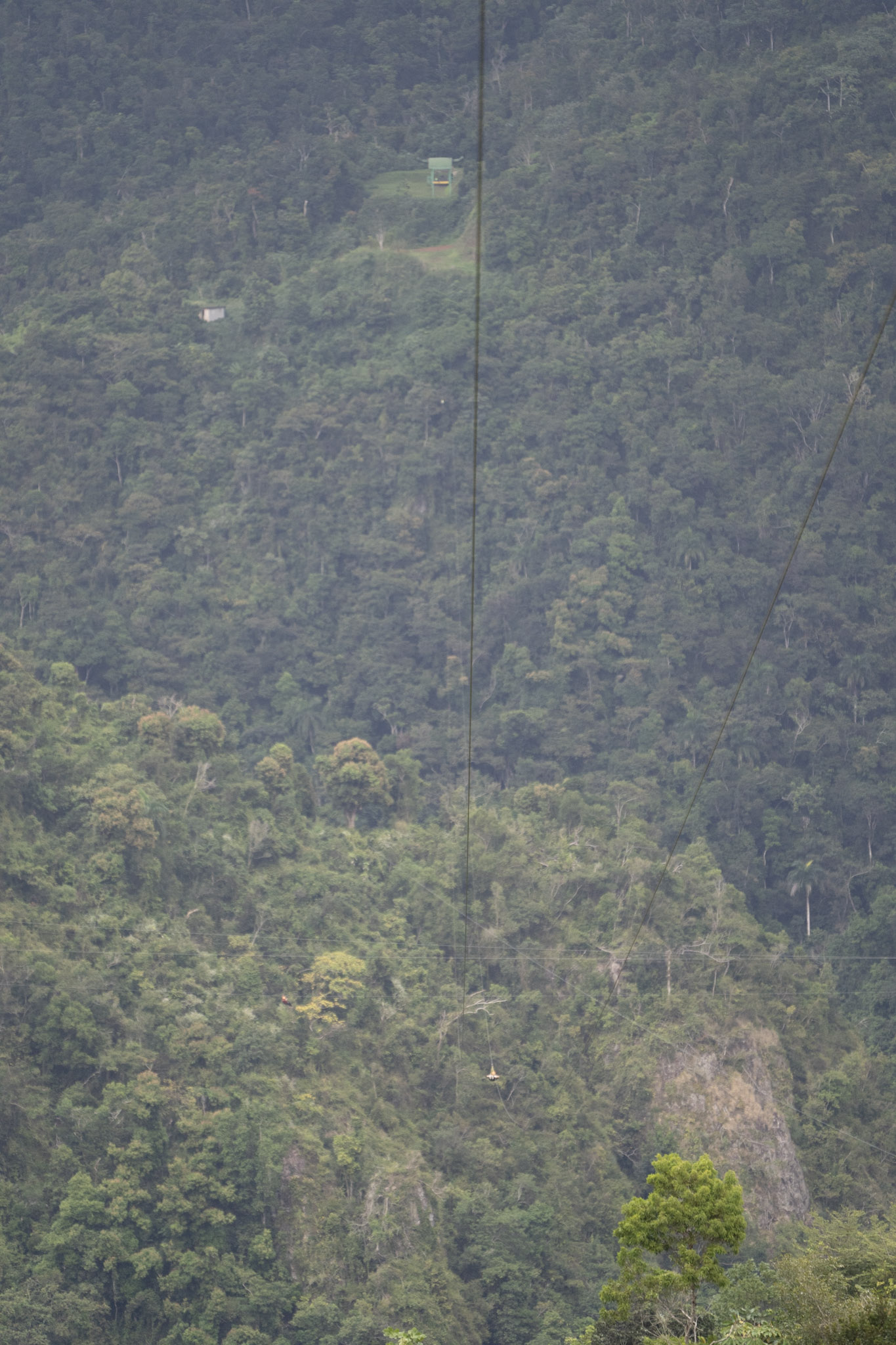 2020-12-28_Toro_Verde - foto 154