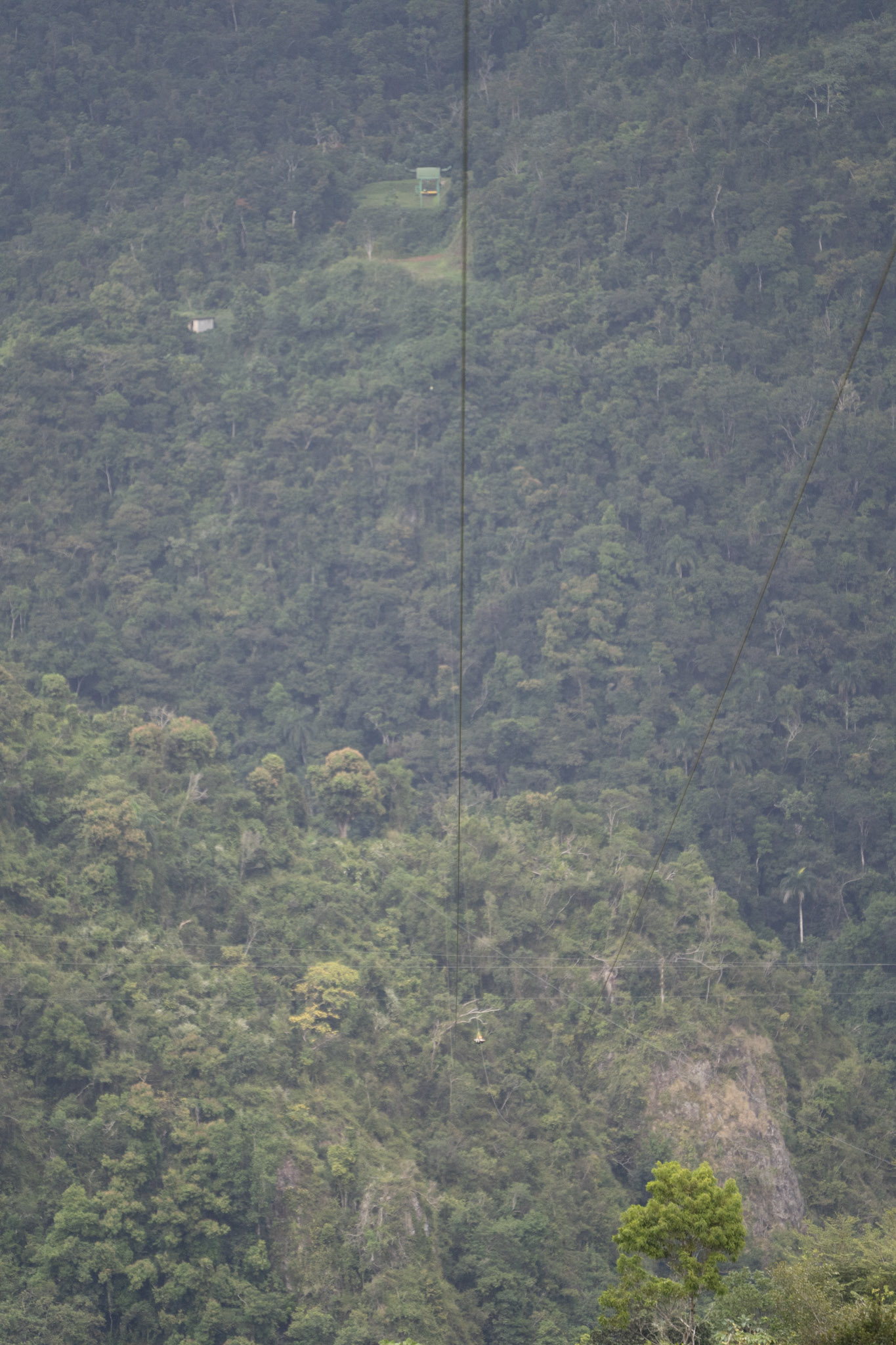 2020-12-28_Toro_Verde - foto 155