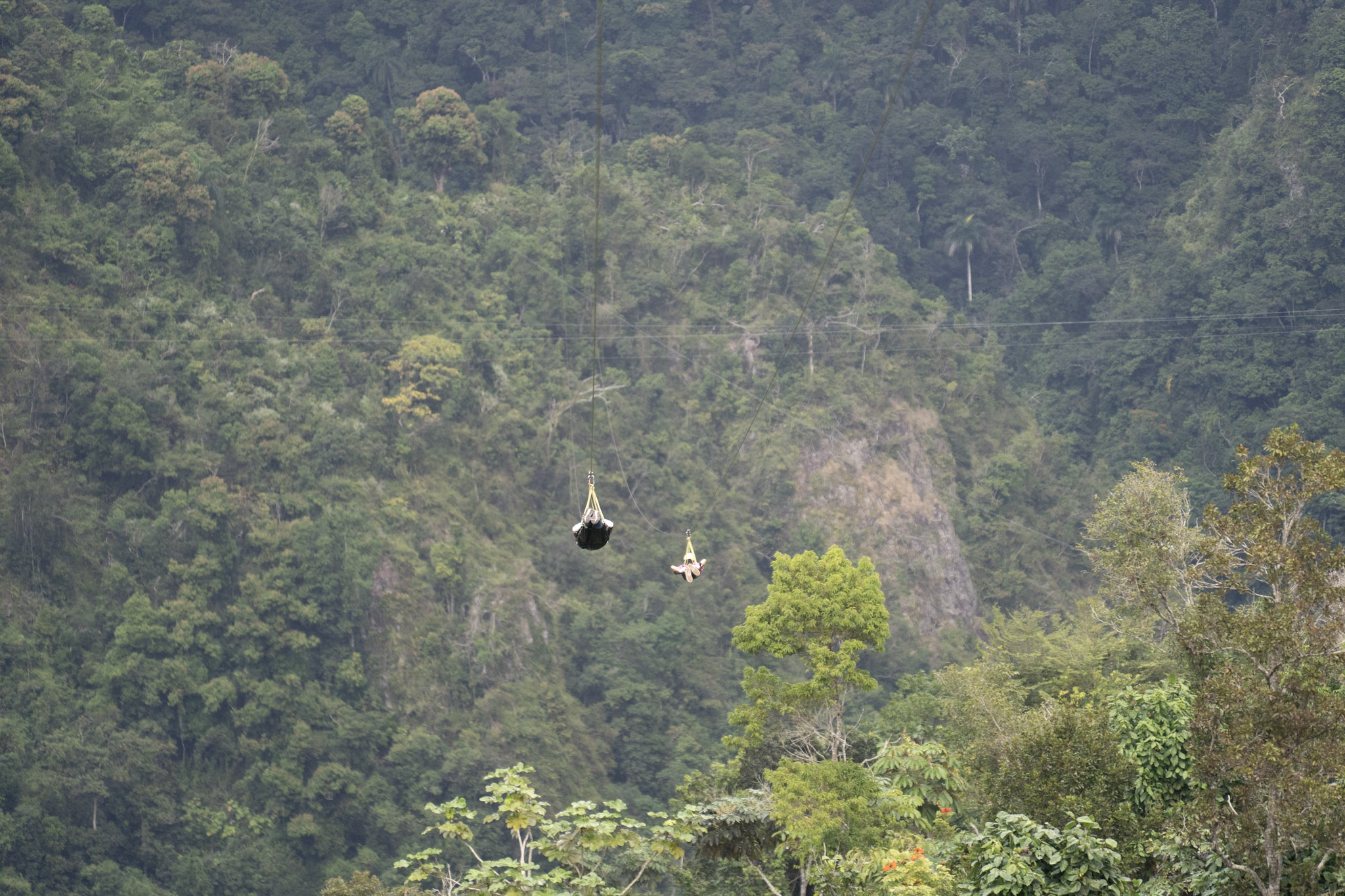 2020-12-28_Toro_Verde - foto 160