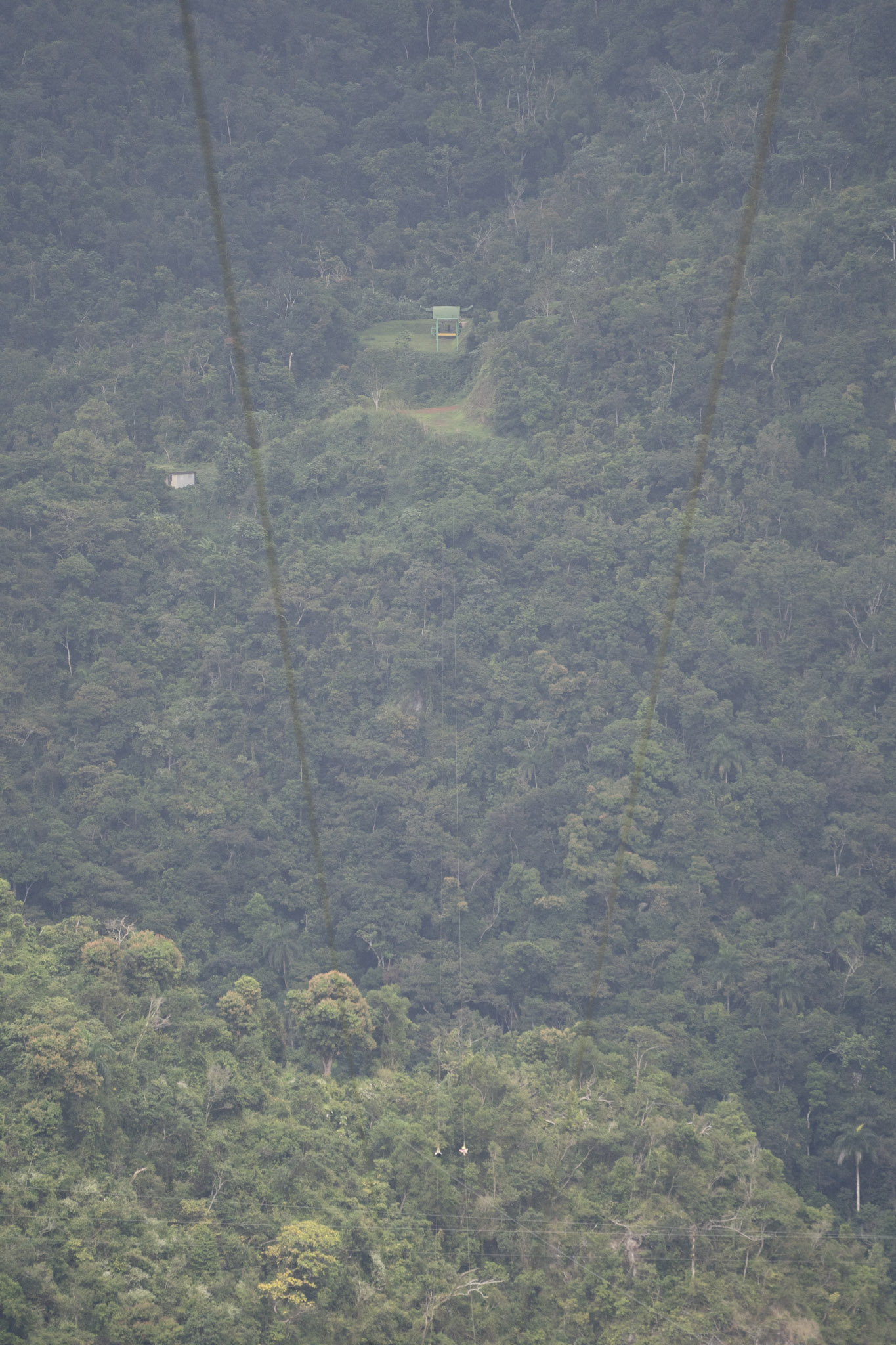 2020-12-28_Toro_Verde - foto 165