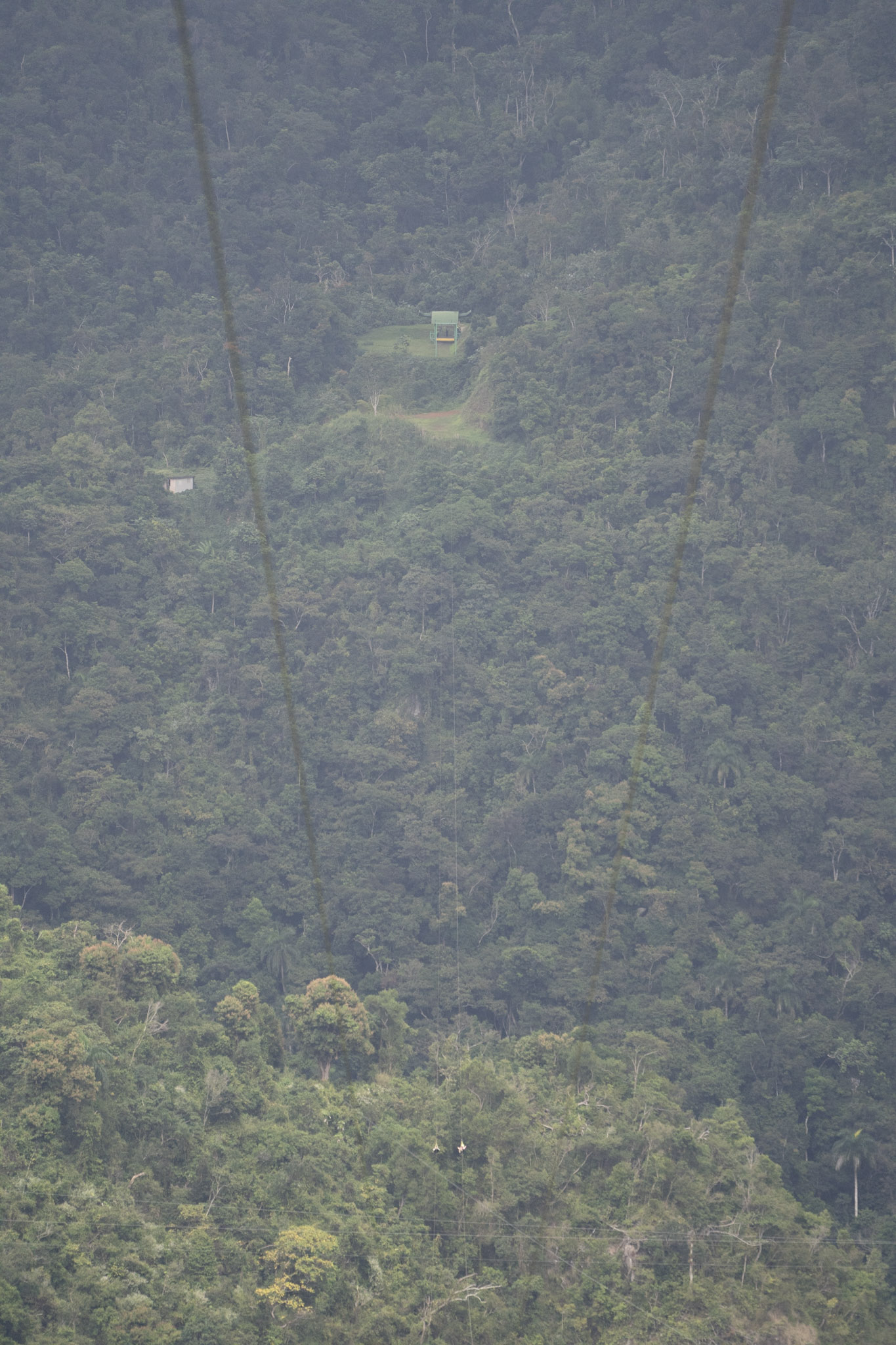 2020-12-28_Toro_Verde - foto 166