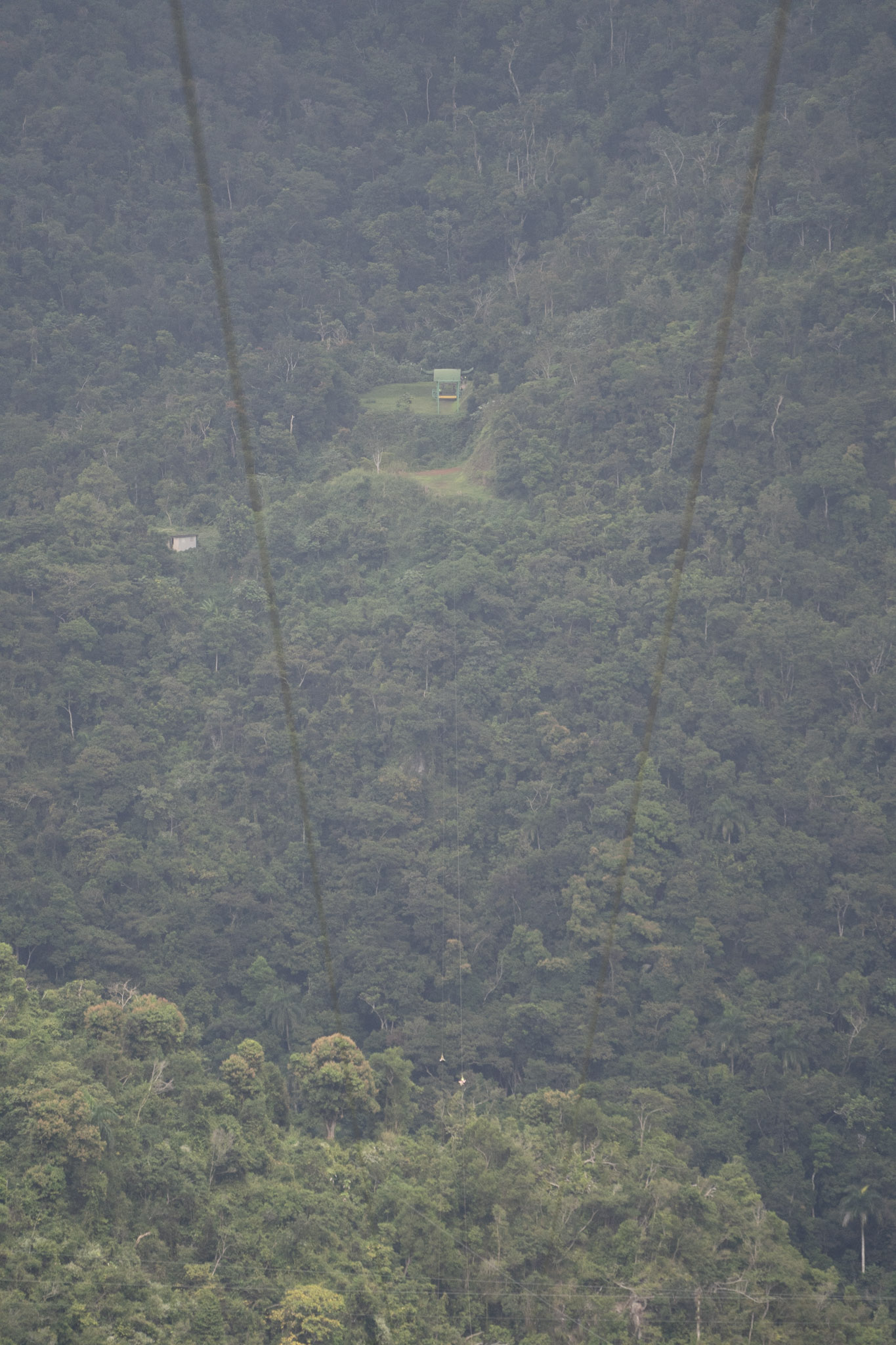 2020-12-28_Toro_Verde - foto 167