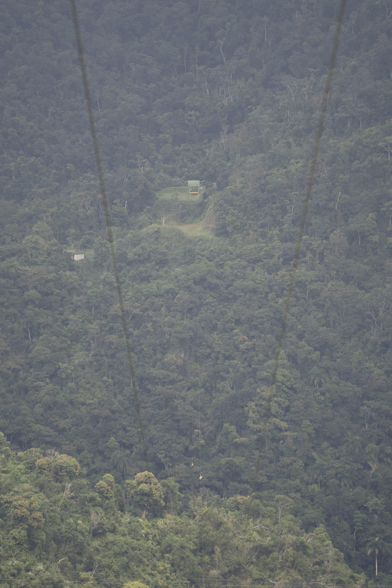 2020-12-28_Toro_Verde - foto 168