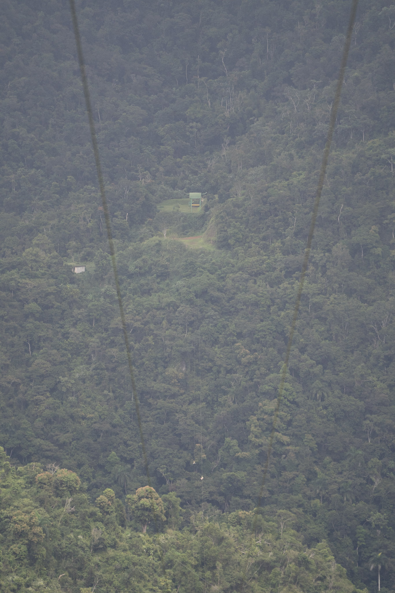 2020-12-28_Toro_Verde - foto 169