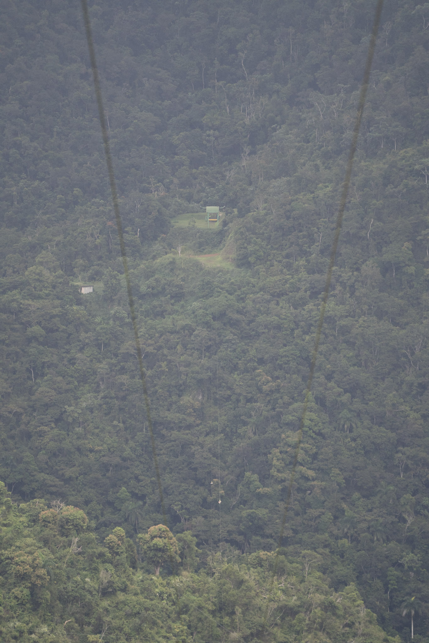 2020-12-28_Toro_Verde - foto 170