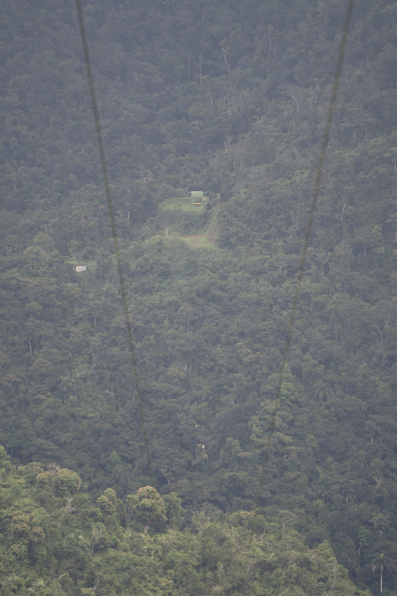 2020-12-28_Toro_Verde - foto 171