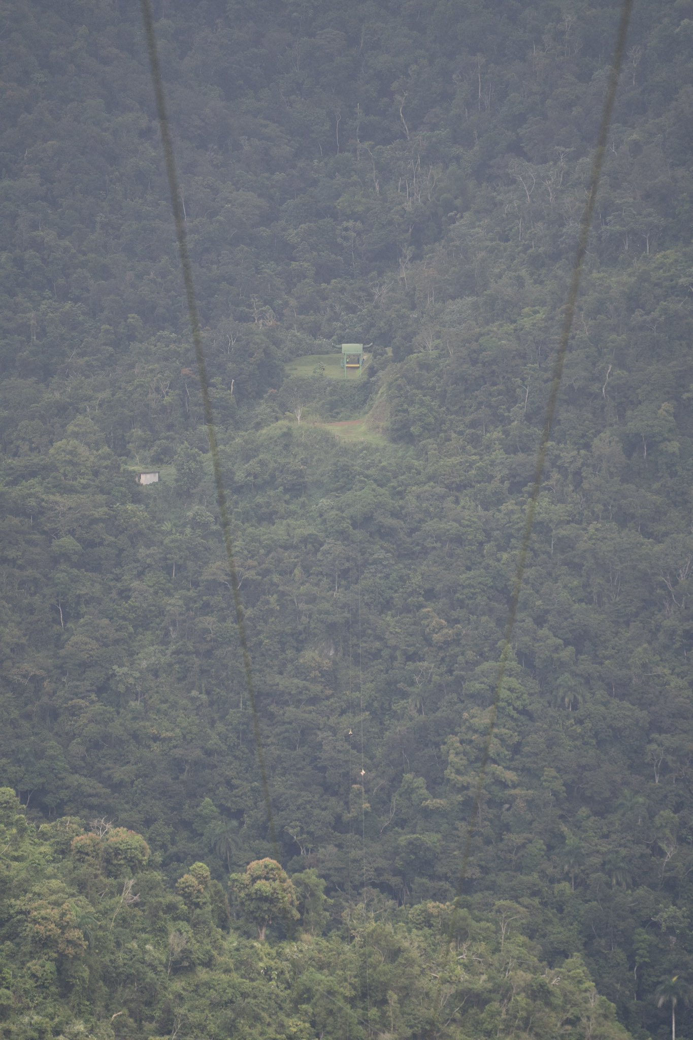 2020-12-28_Toro_Verde - foto 172