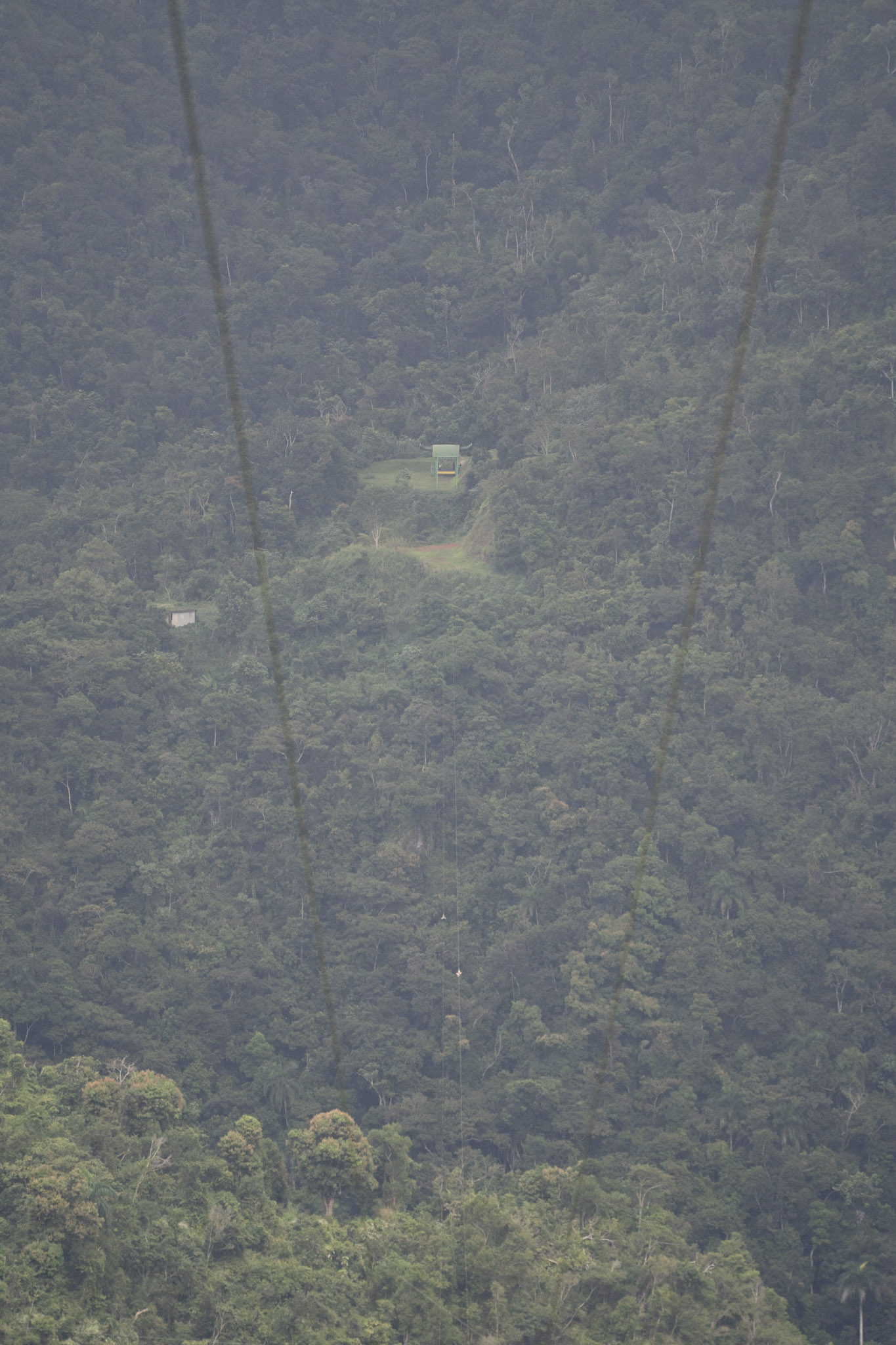 2020-12-28_Toro_Verde - foto 173