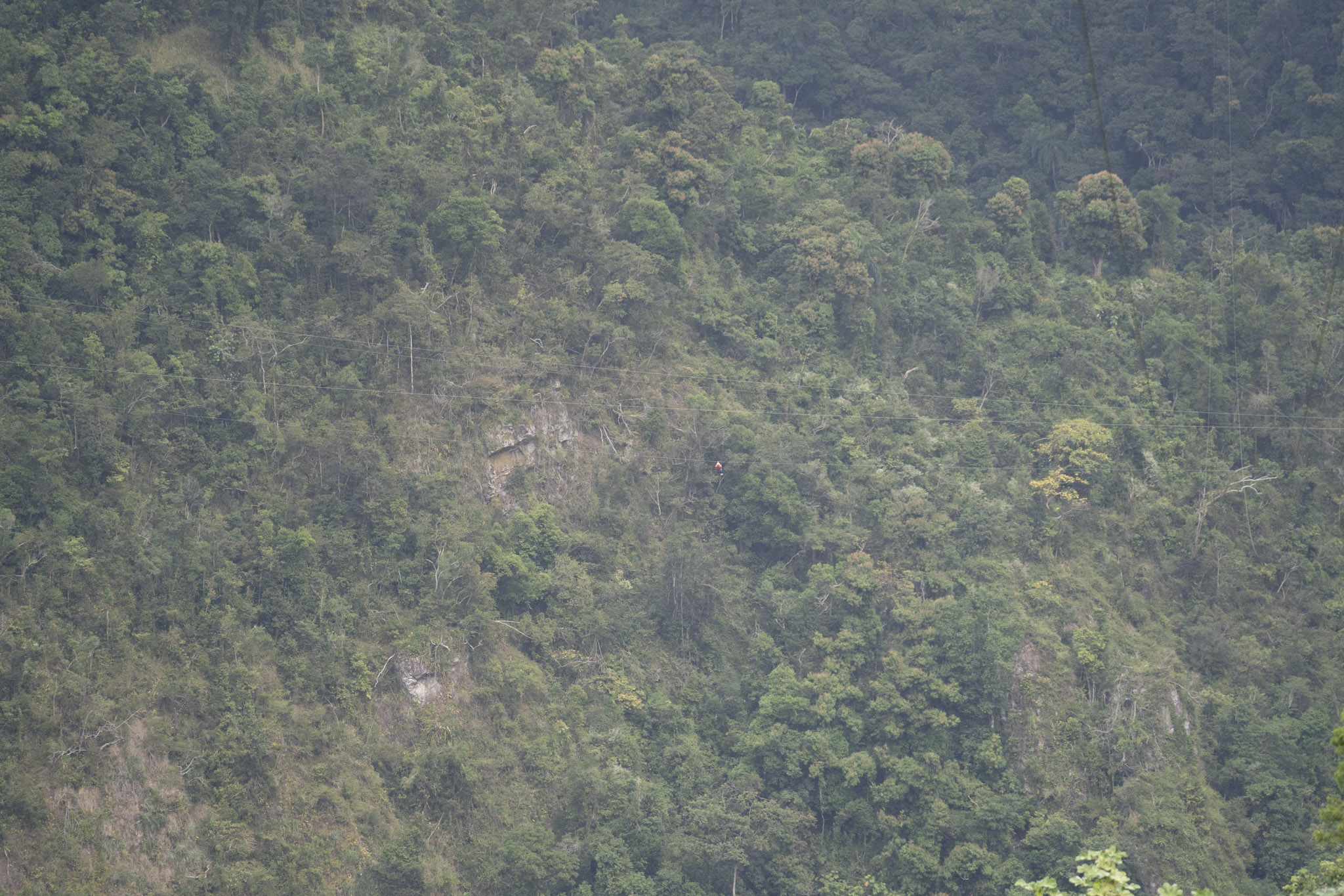 2020-12-28_Toro_Verde - foto 174