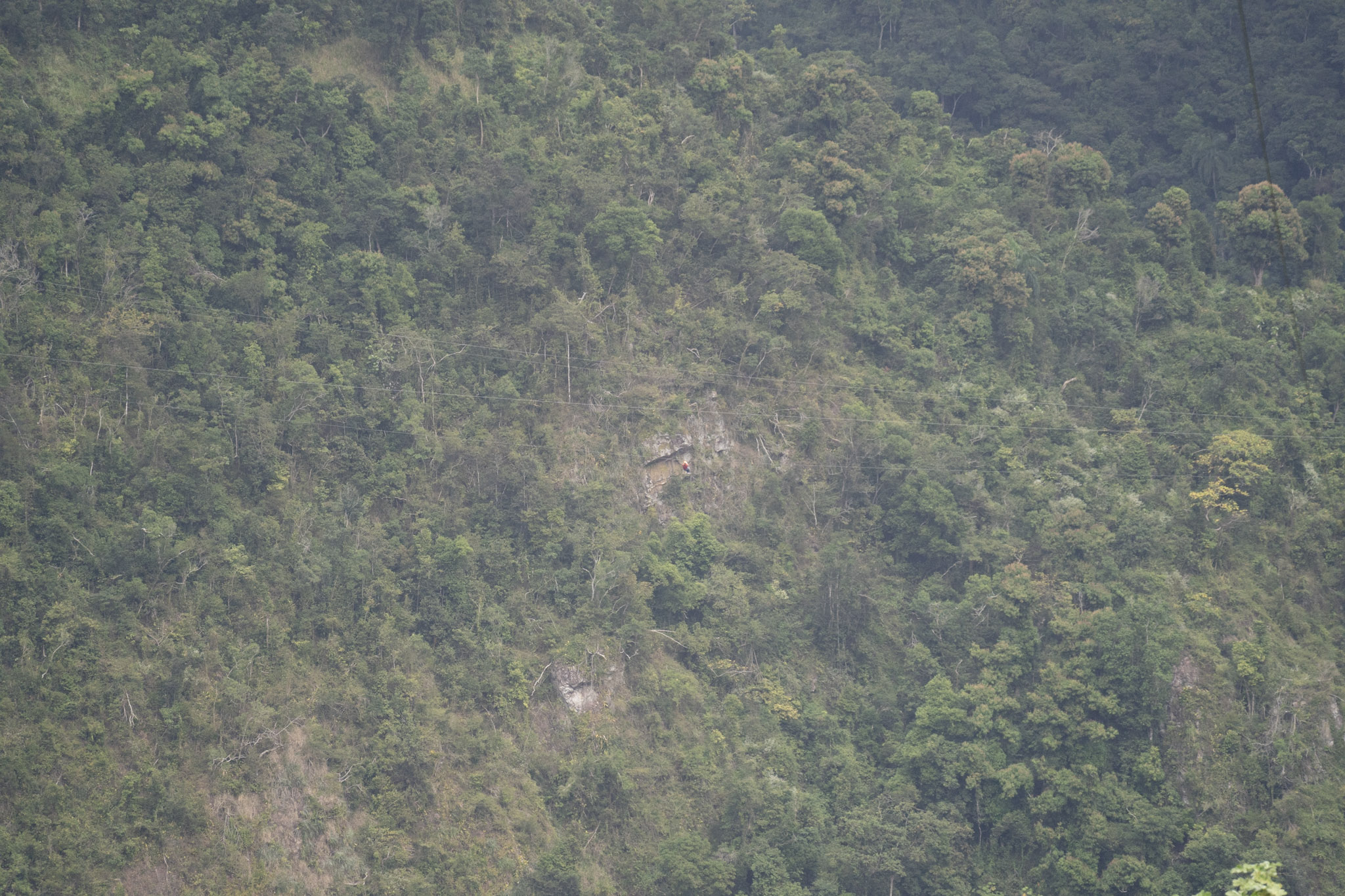 2020-12-28_Toro_Verde - foto 175