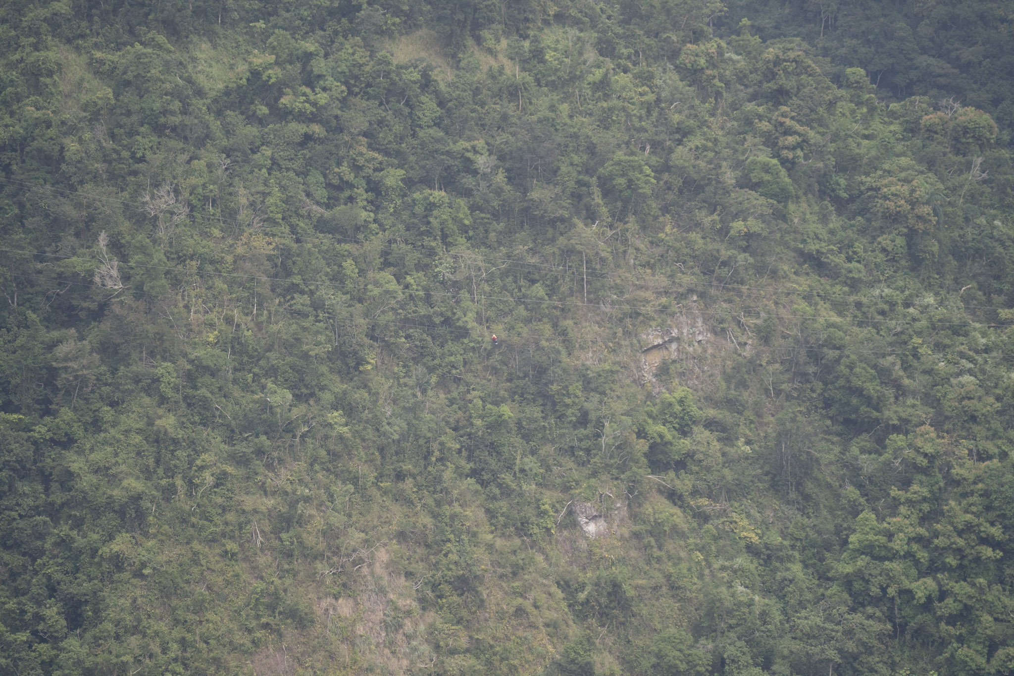 2020-12-28_Toro_Verde - foto 176