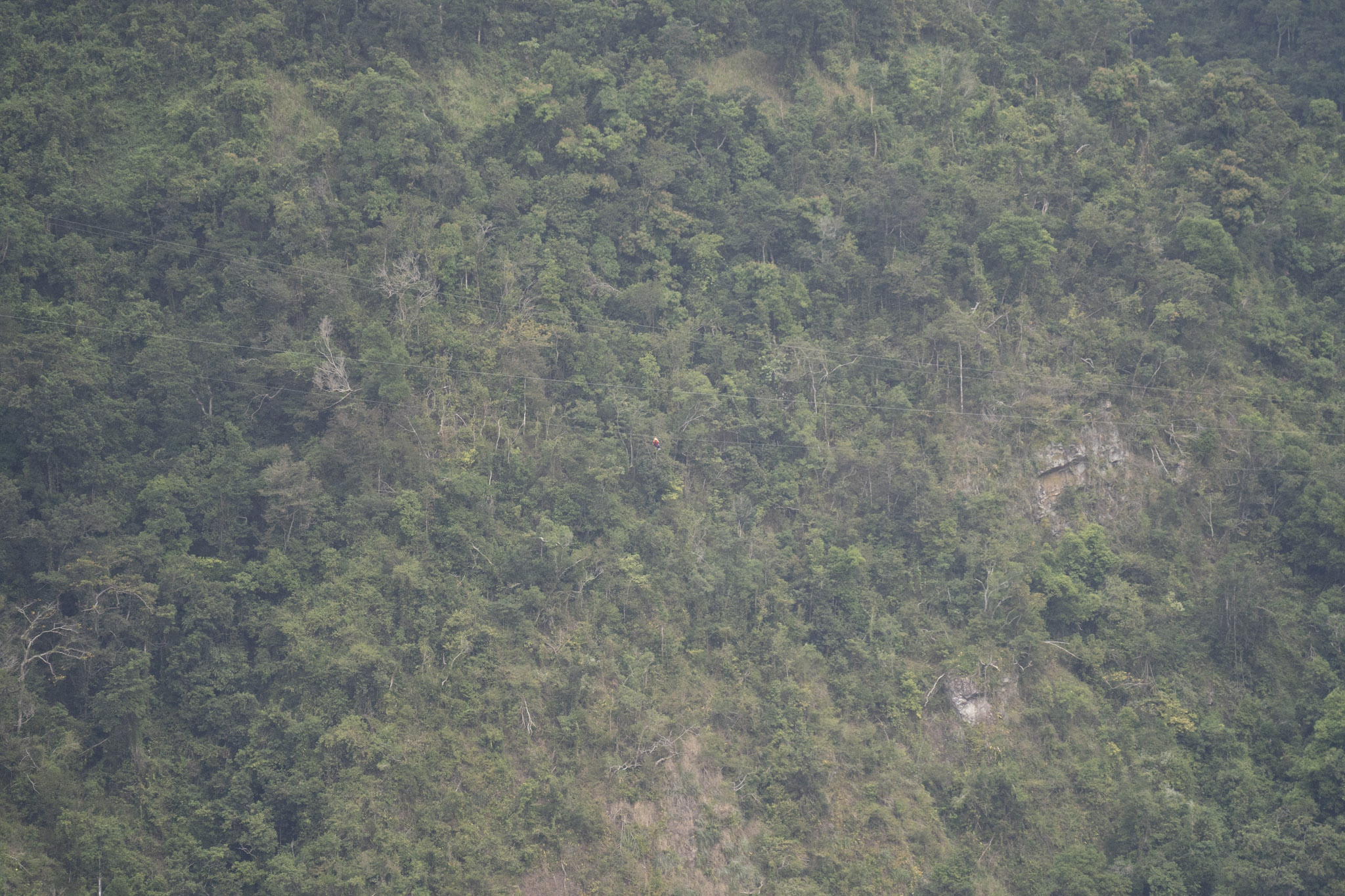 2020-12-28_Toro_Verde - foto 177