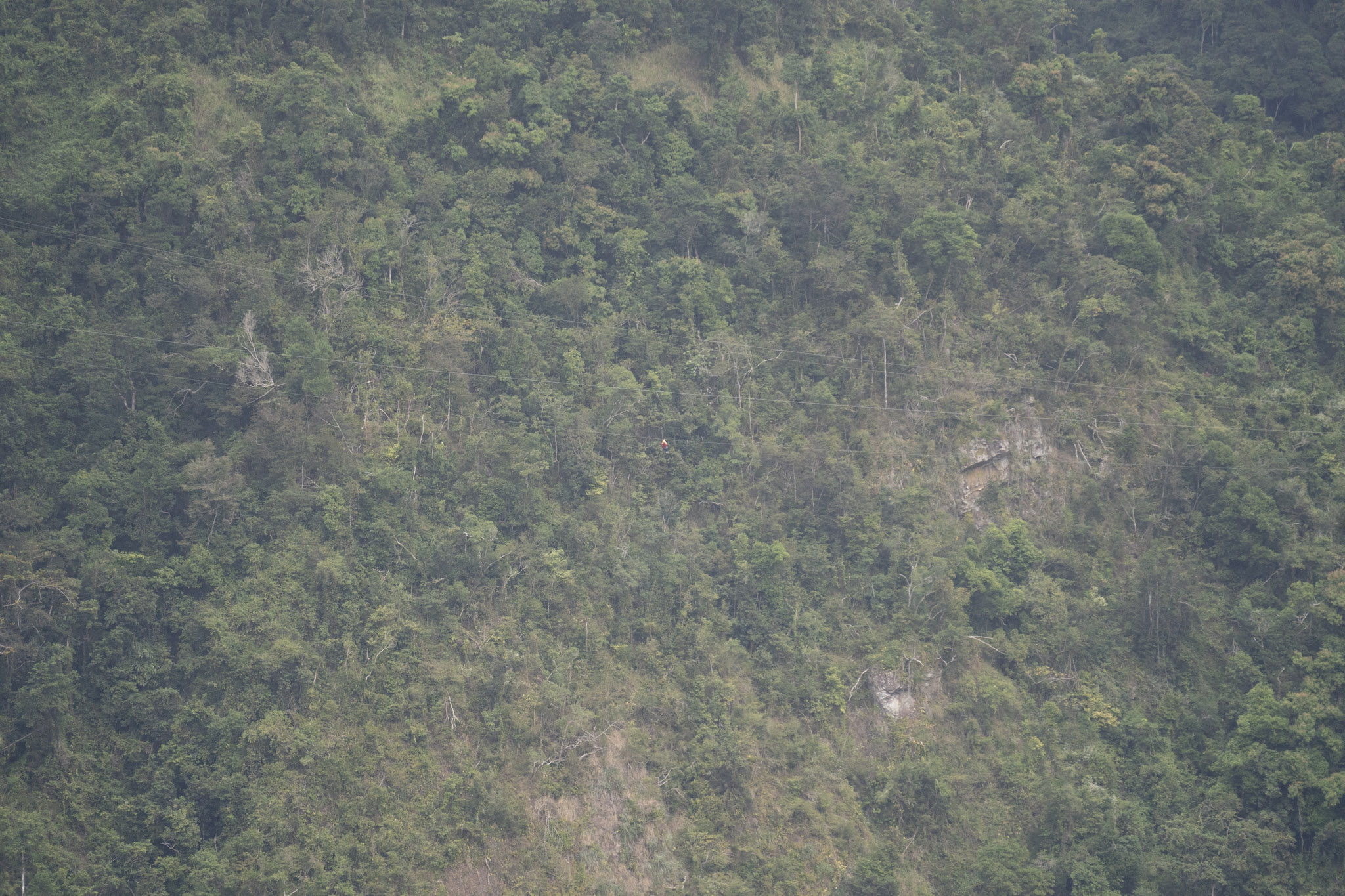 2020-12-28_Toro_Verde - foto 178