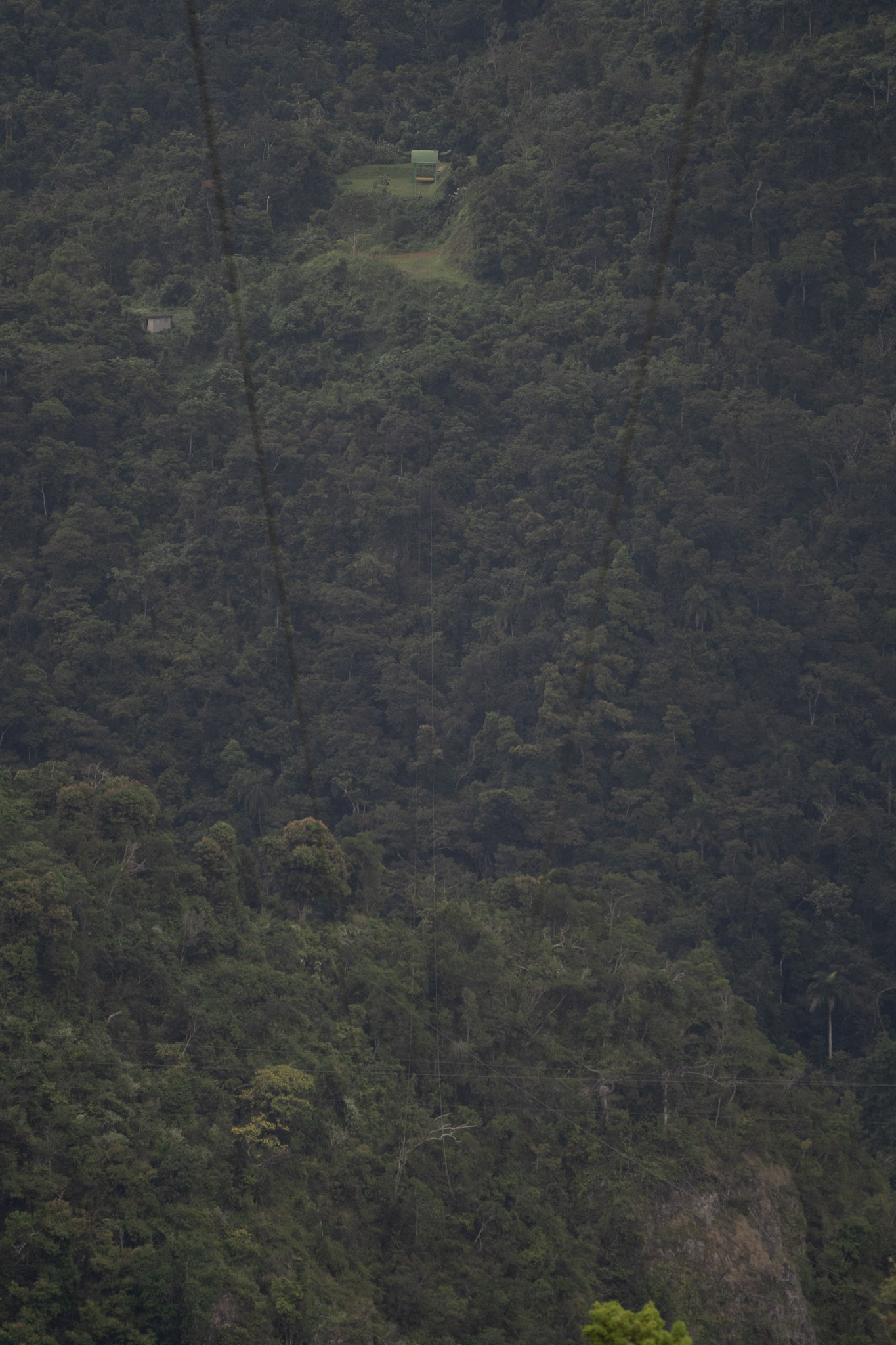 2020-12-28_Toro_Verde - foto 179