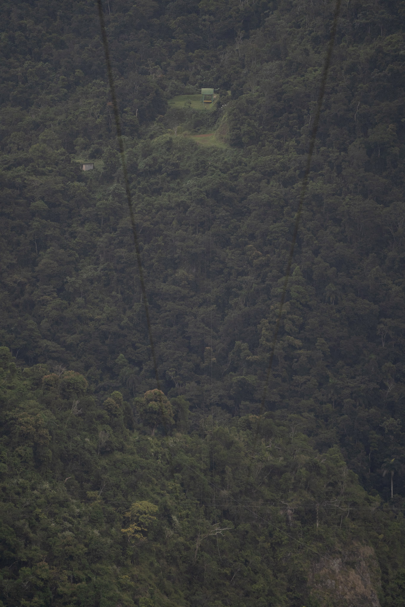 2020-12-28_Toro_Verde - foto 180