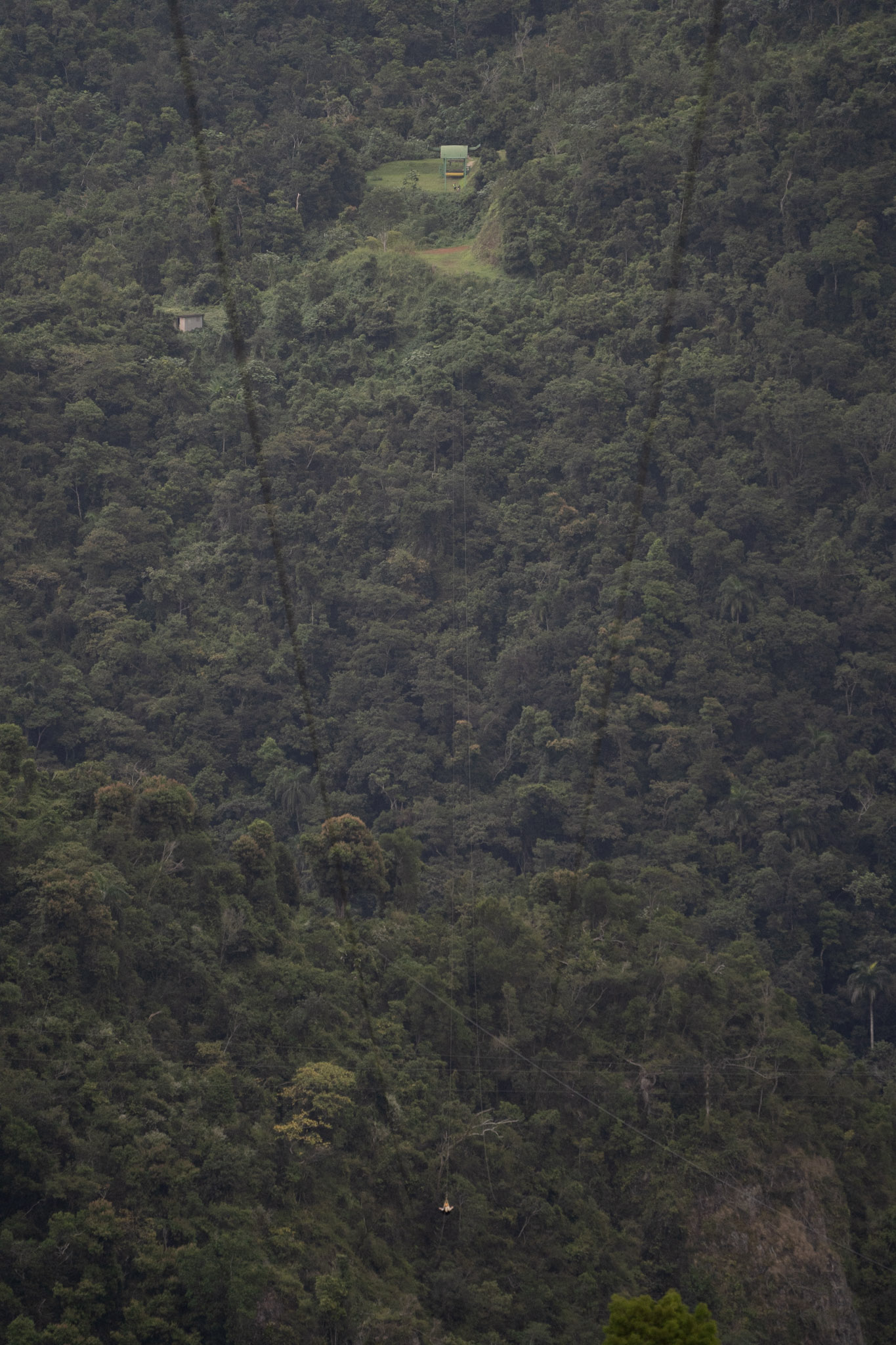 2020-12-28_Toro_Verde - foto 181