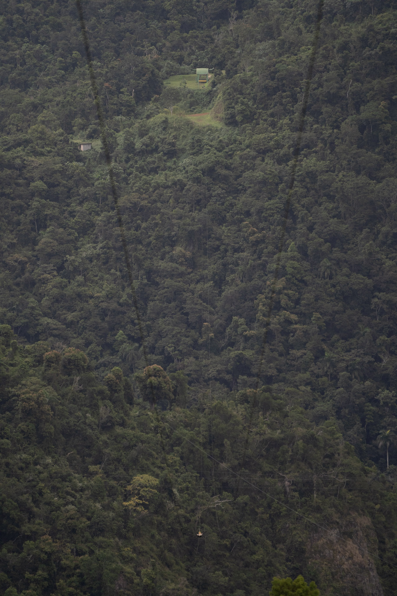 2020-12-28_Toro_Verde - foto 182