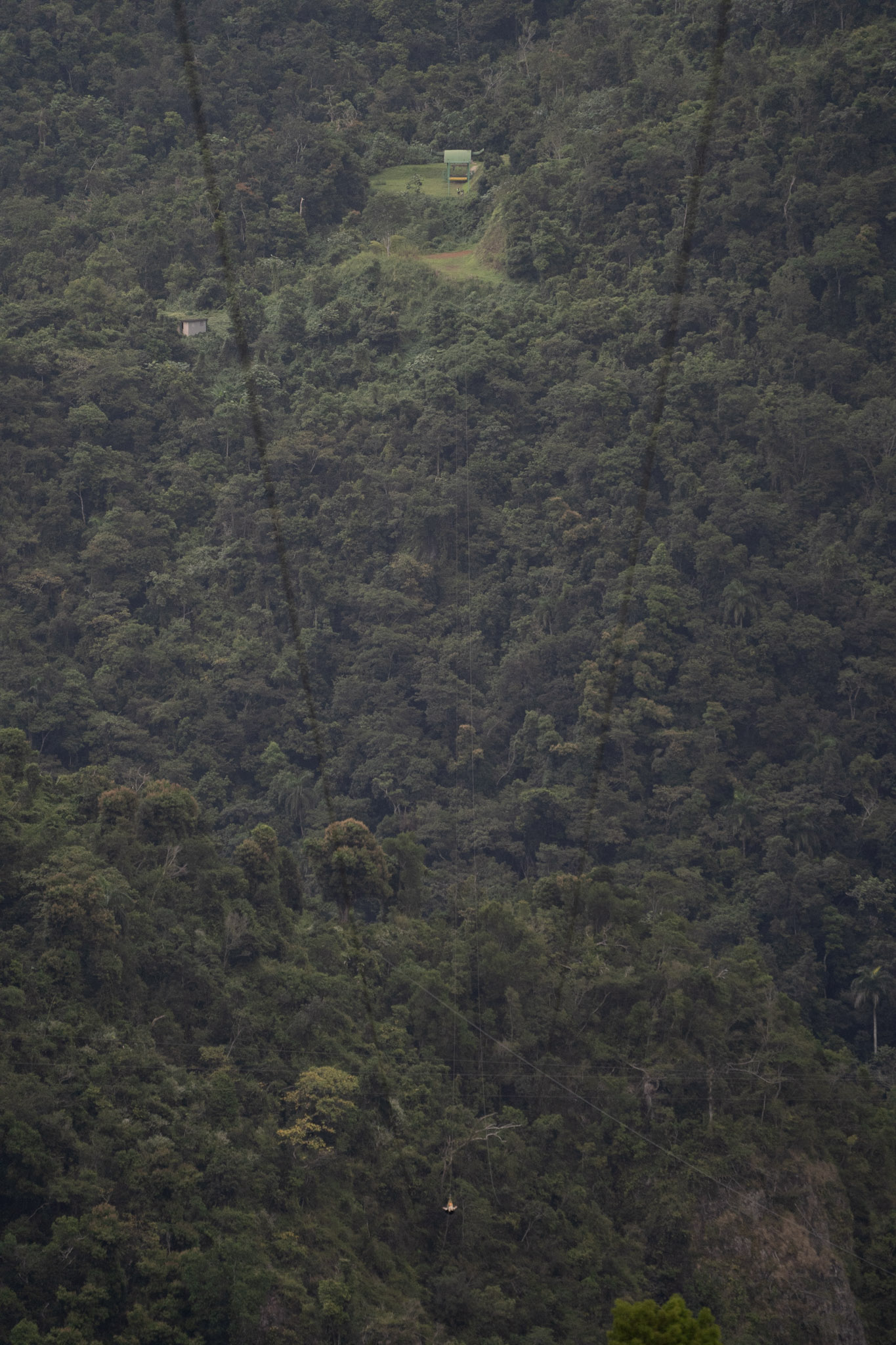 2020-12-28_Toro_Verde - foto 183